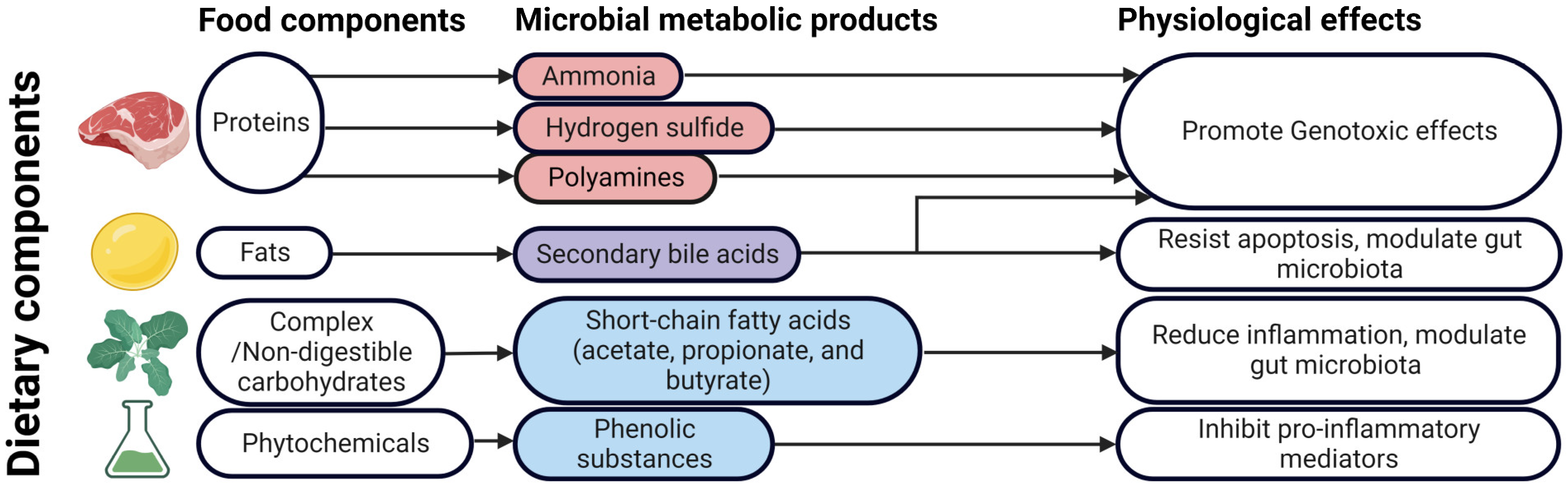 Cancers 15 00866 g002