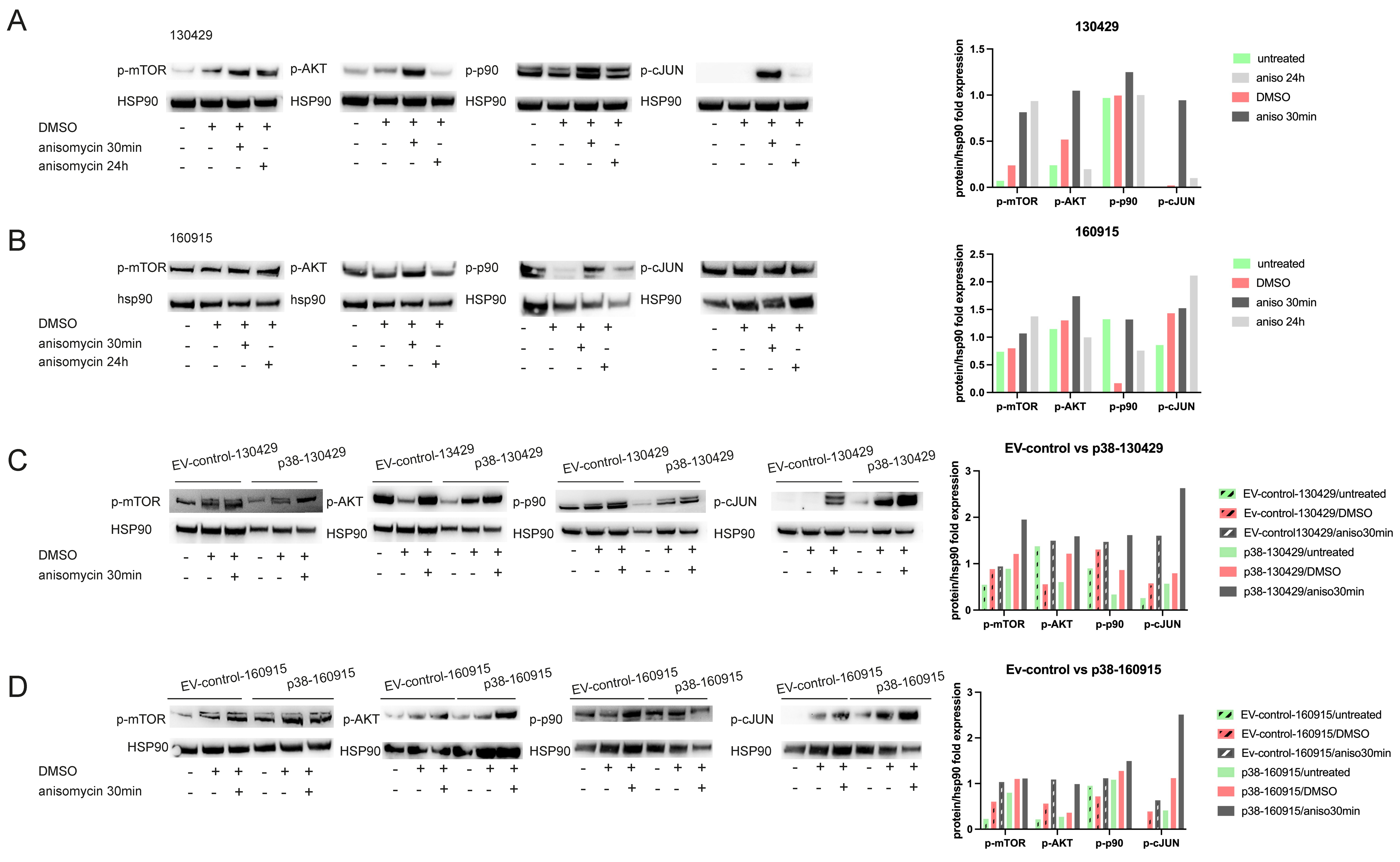 Cancers 15 00877 g006 Cancers 15 00877 g006