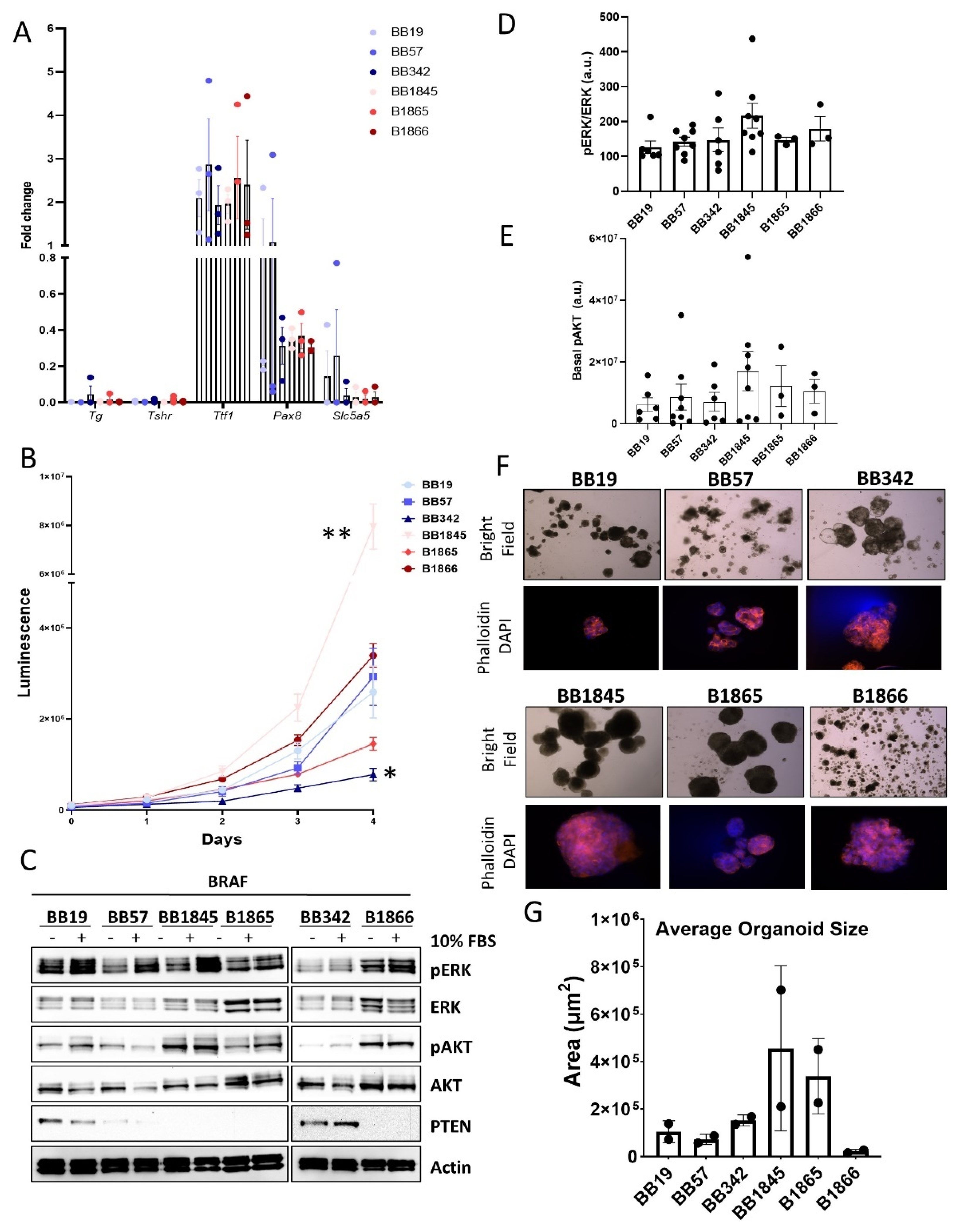 Cancers 15 00879 g002 Cancers 15 00879 g002