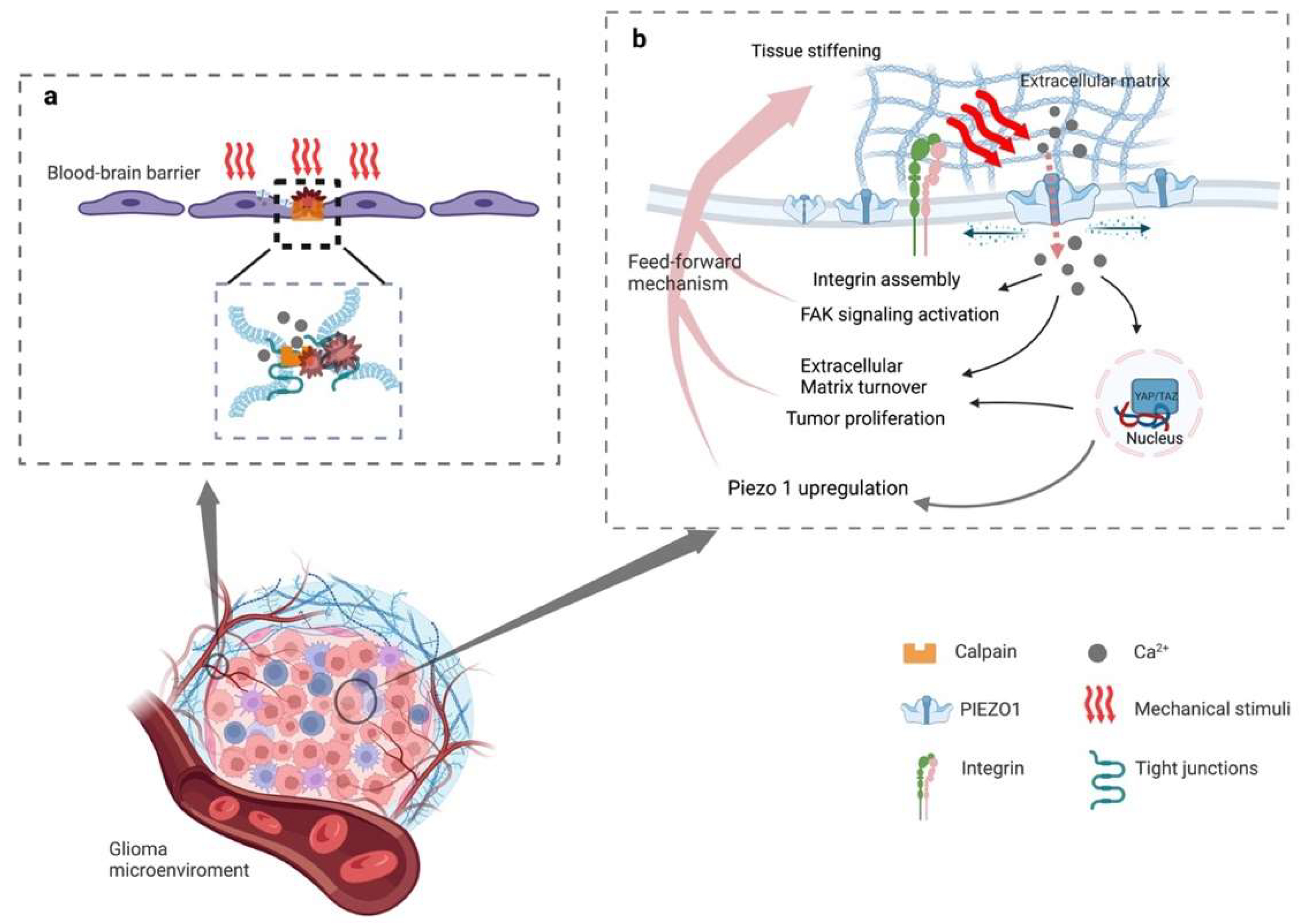 Cancers 15 00883 g001