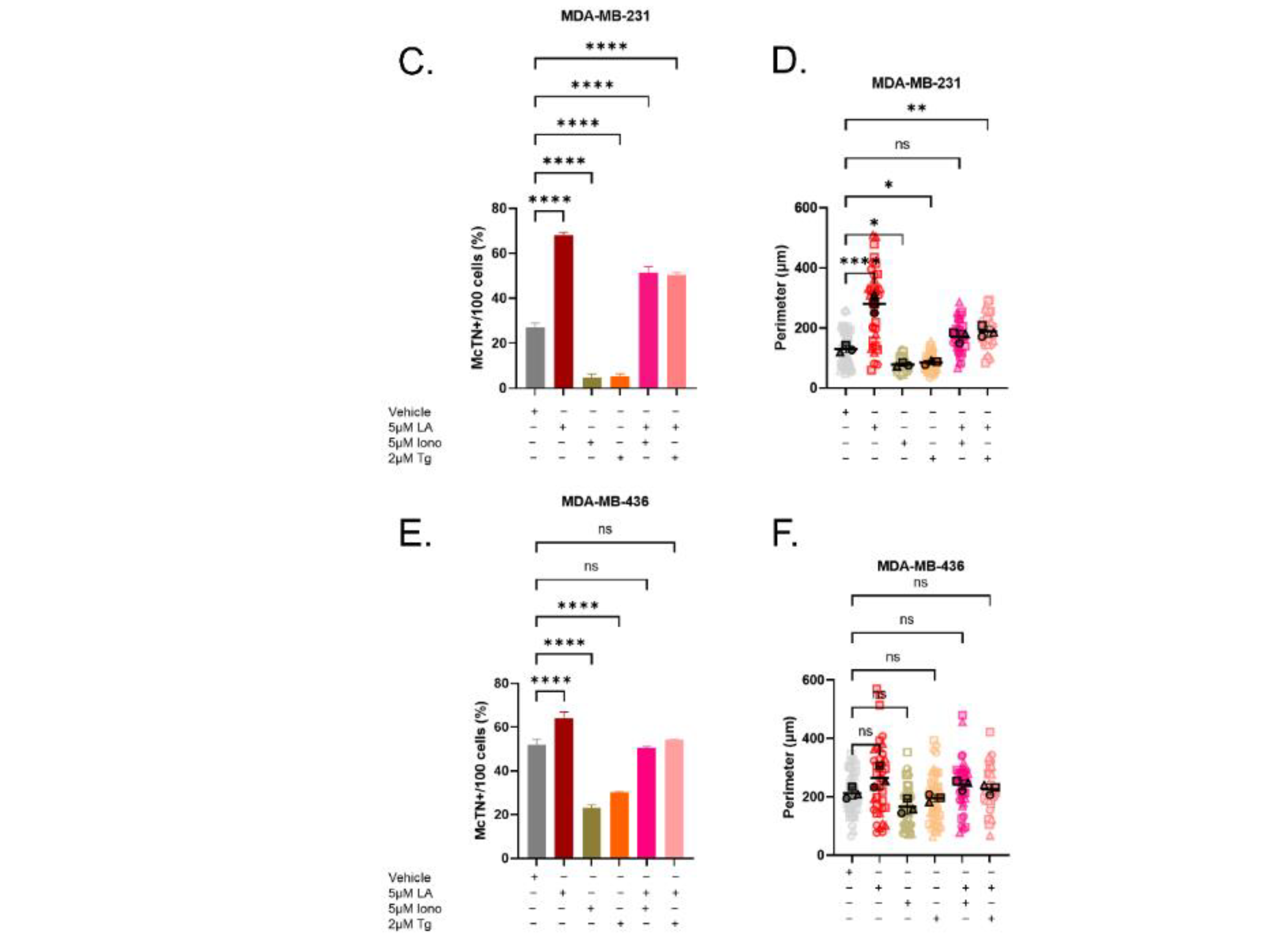 Cancers 15 00884 g007b Cancers 15 00884 g007b