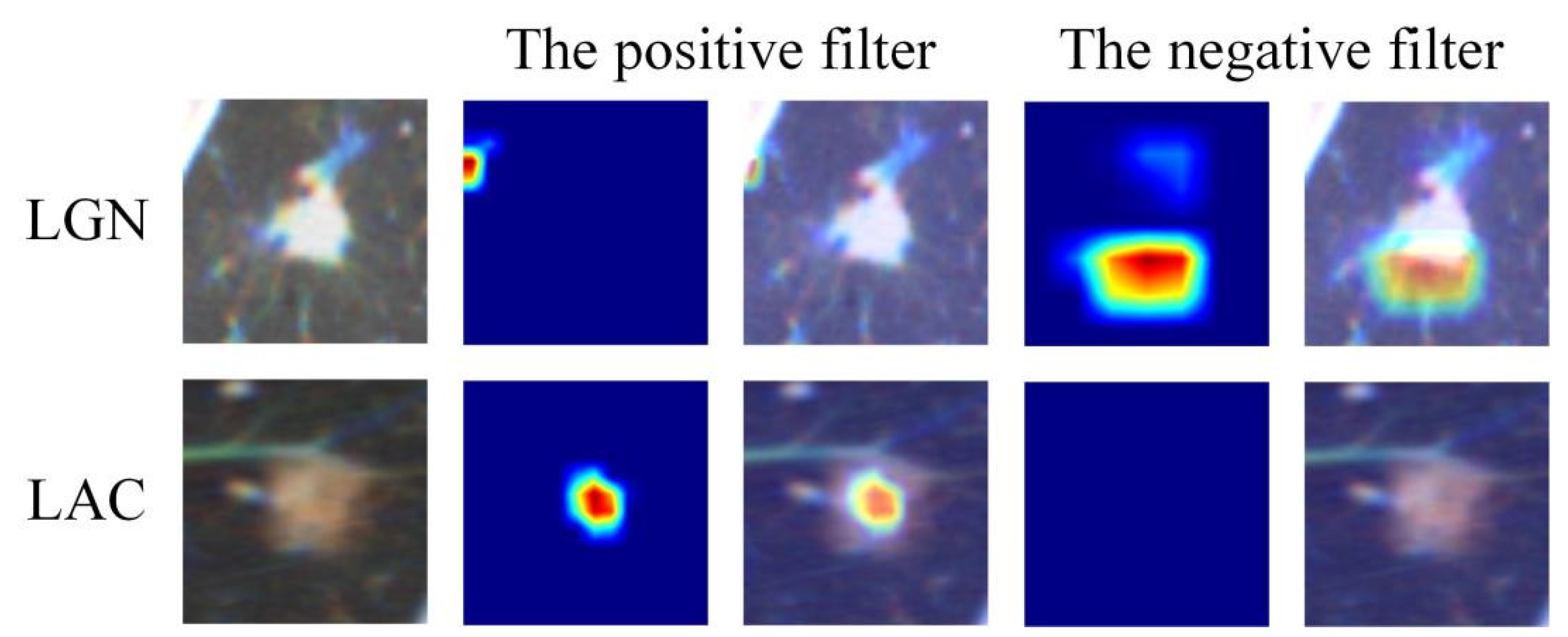 Cancers 15 00892 g003 Cancers 15 00892 g003