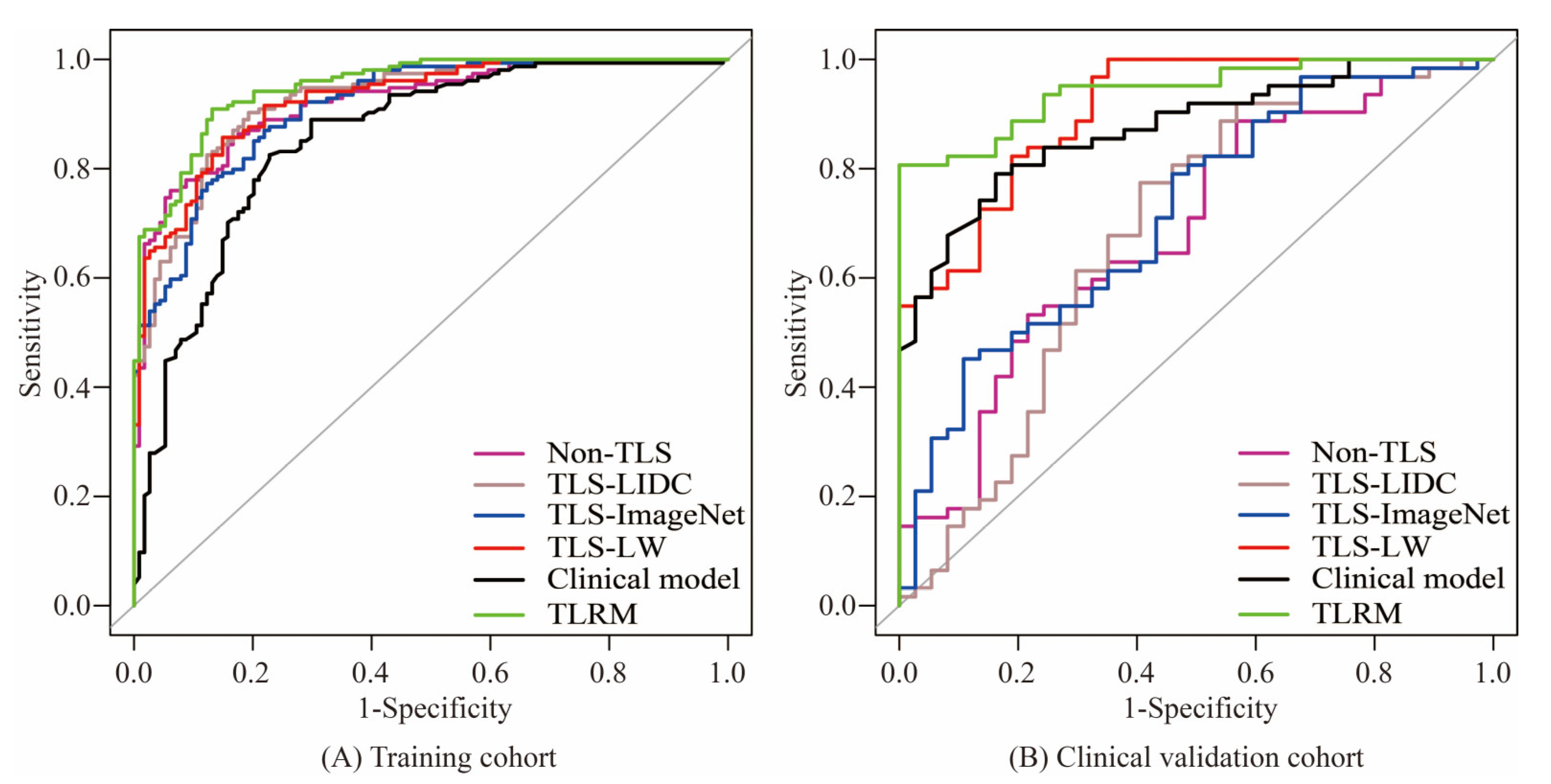 Cancers 15 00892 g007 Cancers 15 00892 g007