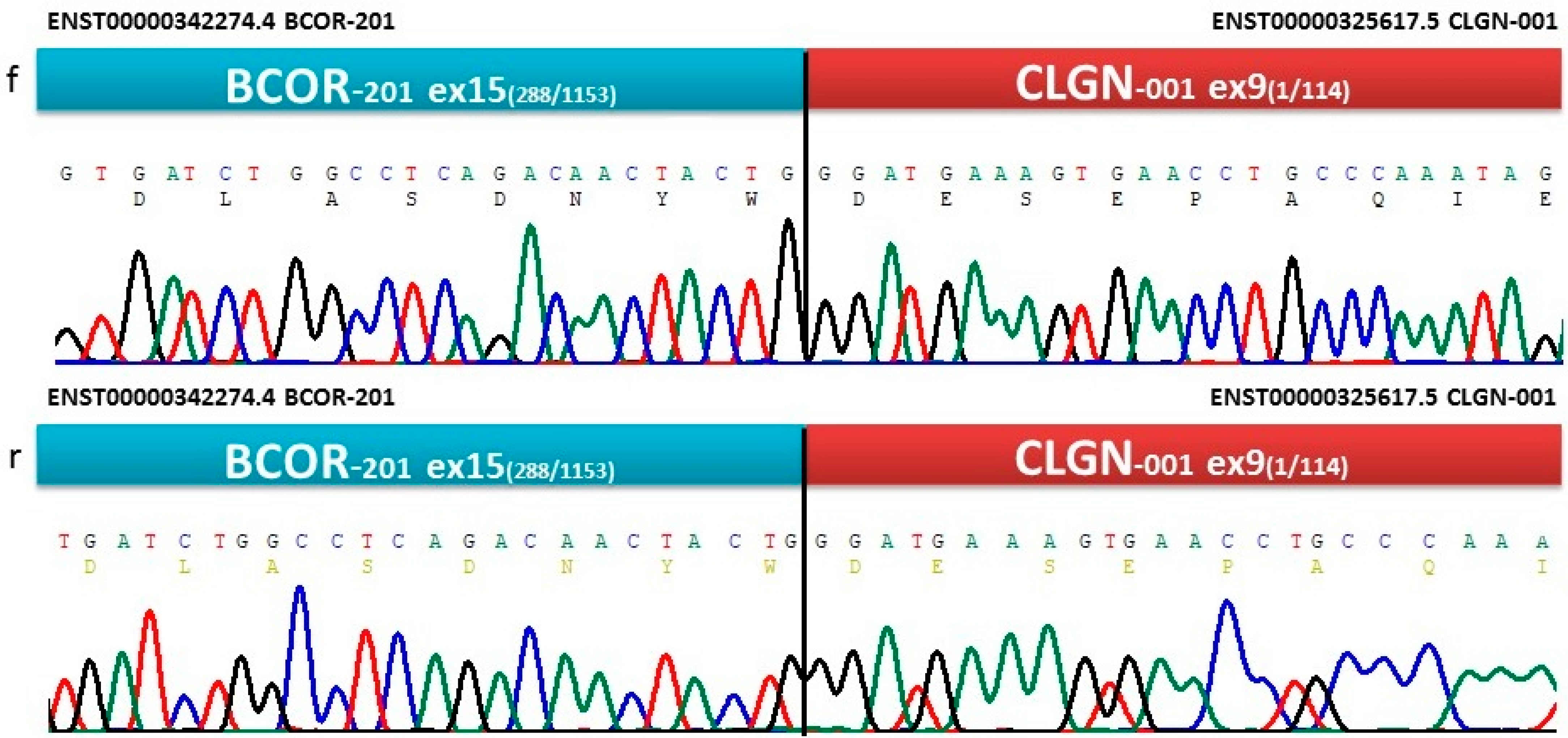 Cancers 15 00898 g003