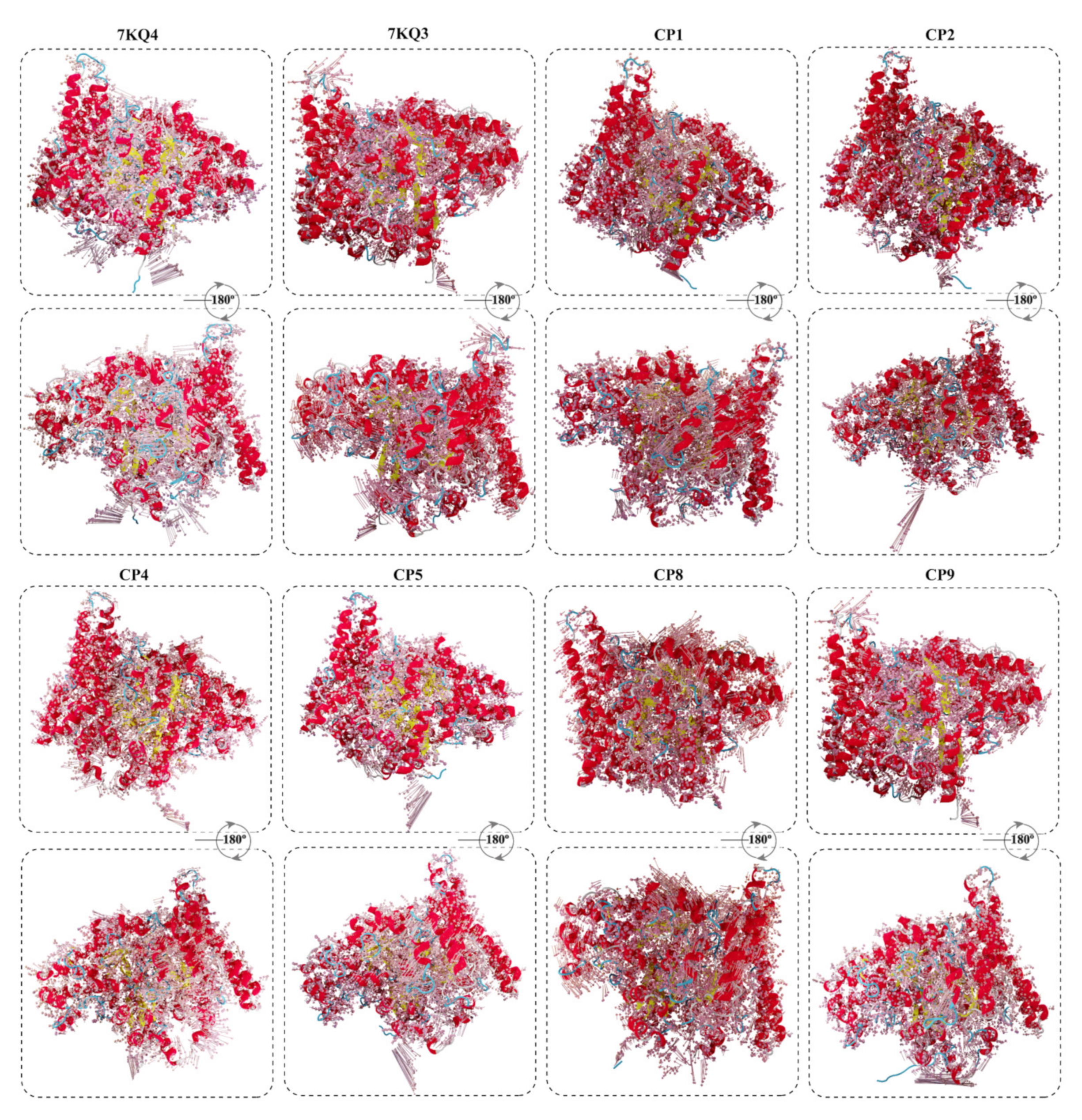 Cancers 15 00901 g007