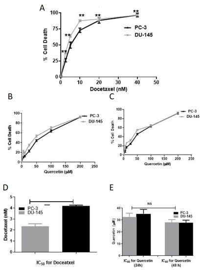 Combination Modality Using Quercetin to Enhance the Efficacy of ...
