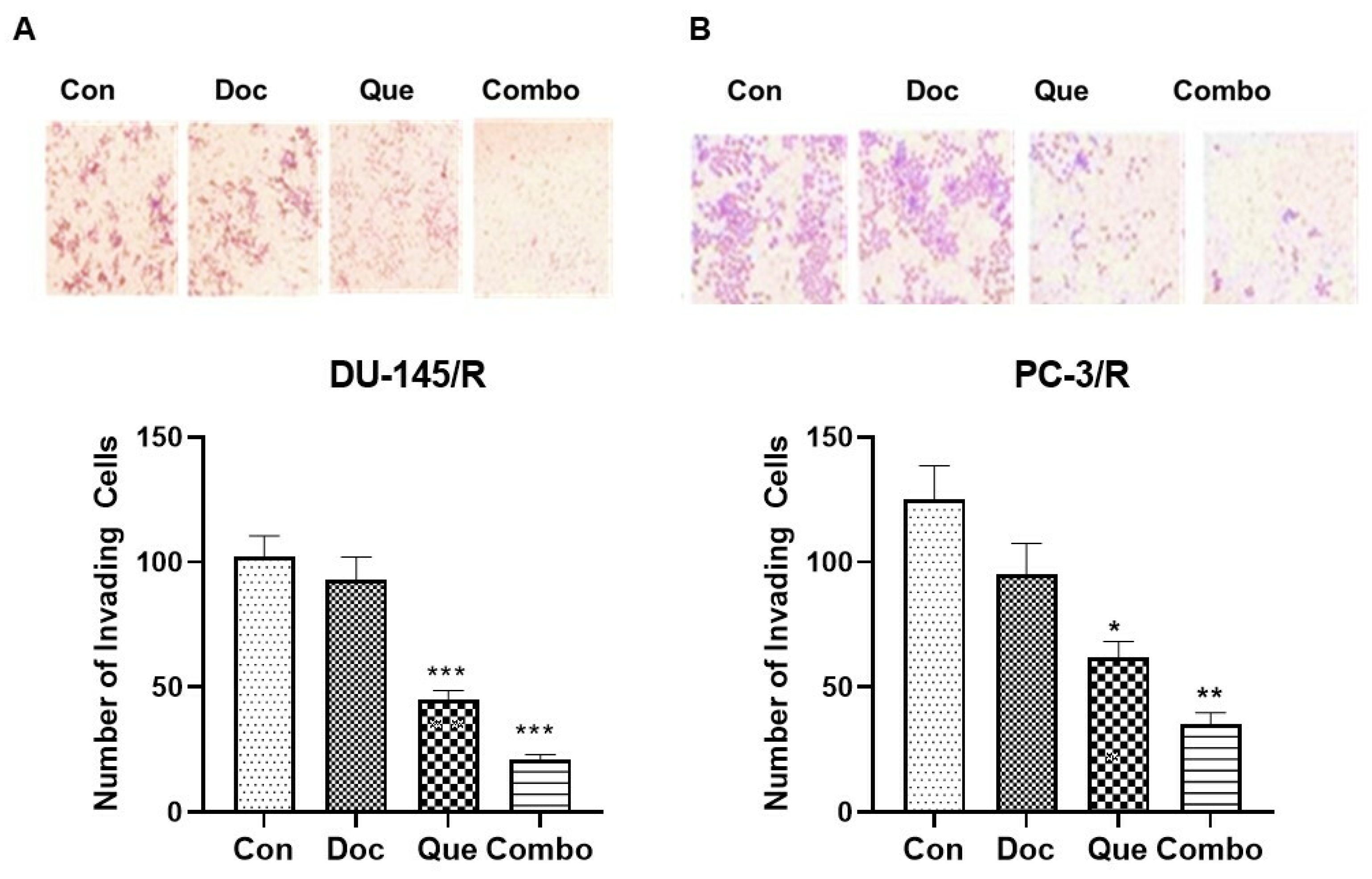 Cancers 15 00902 g005 Cancers 15 00902 g005