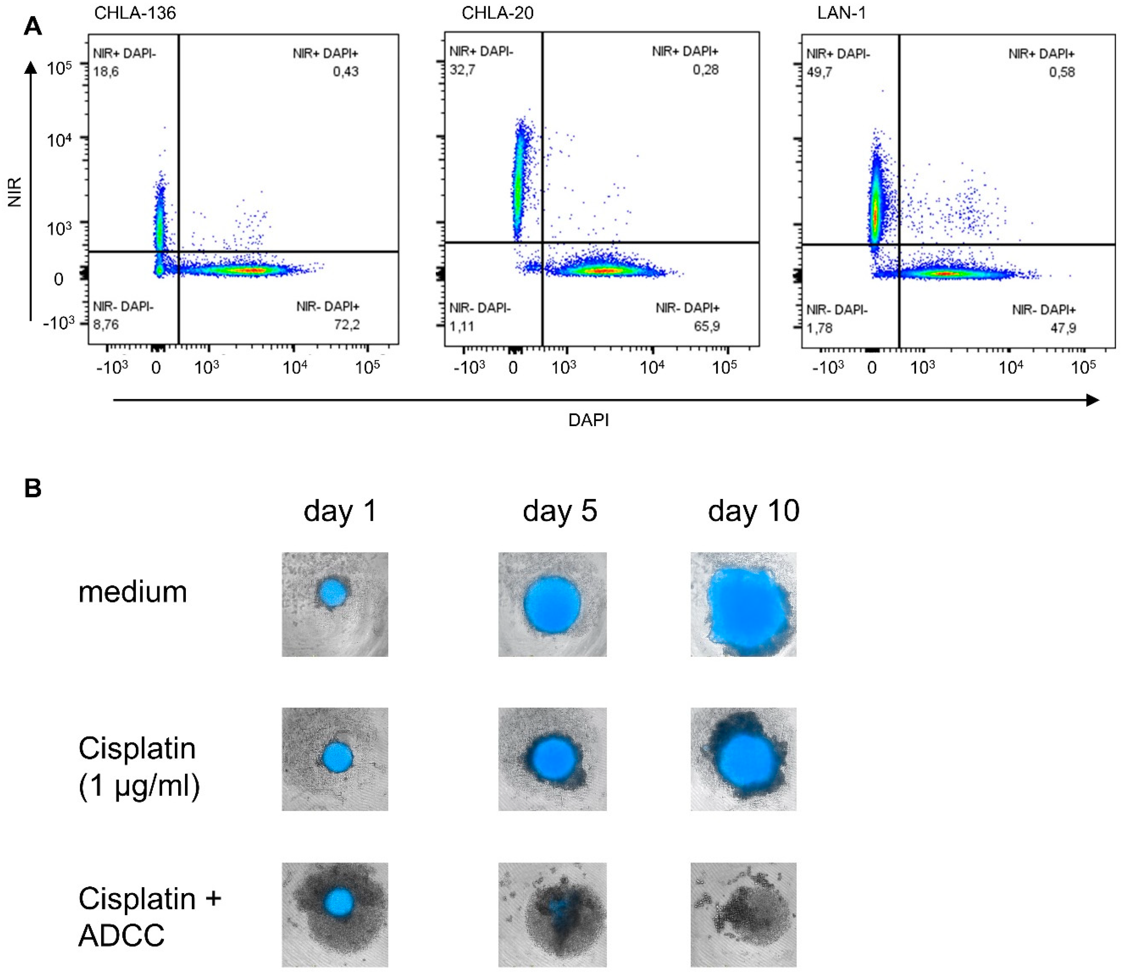 Cancers 15 00904 g001