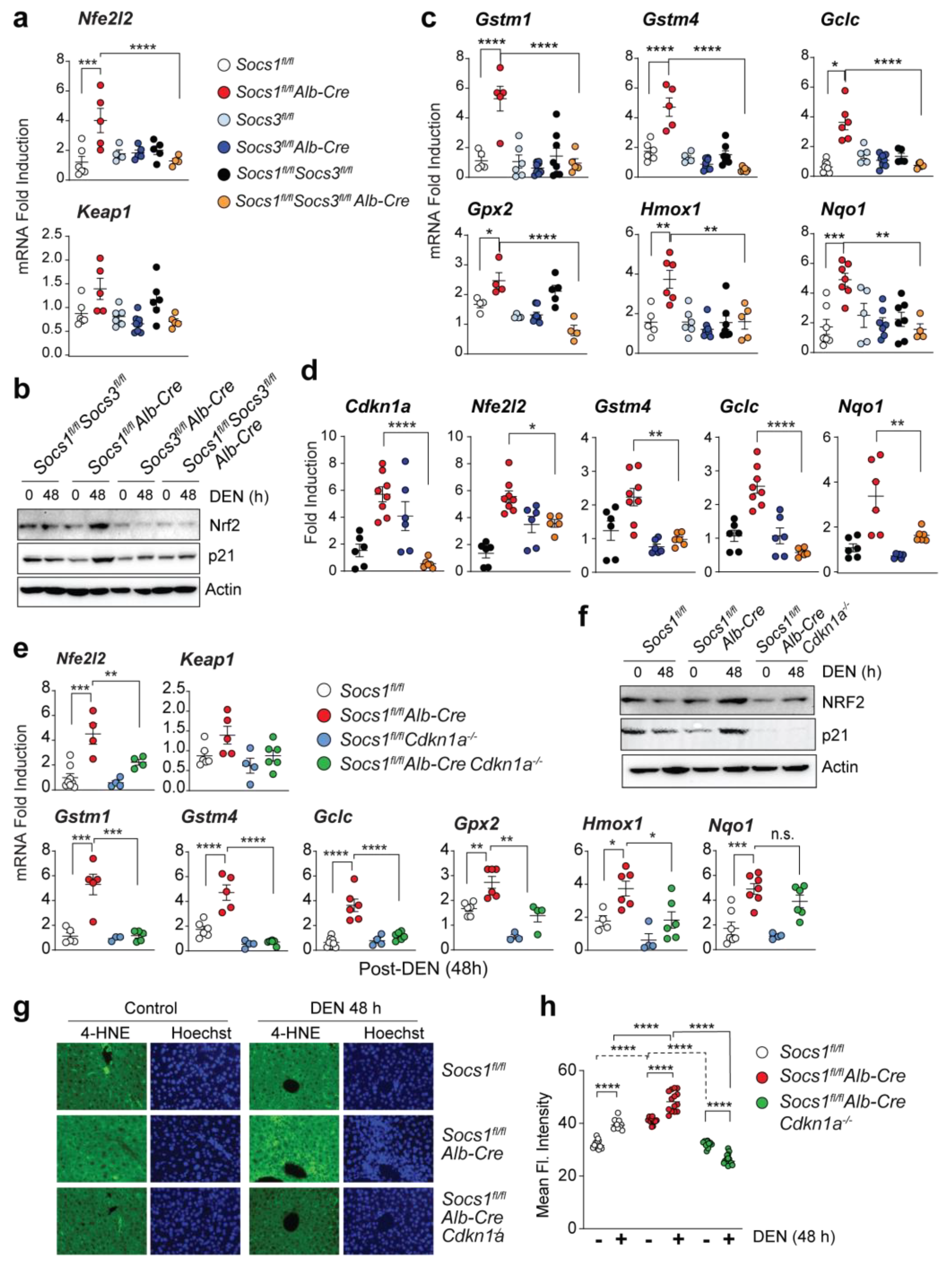 Cancers 15 00905 g003