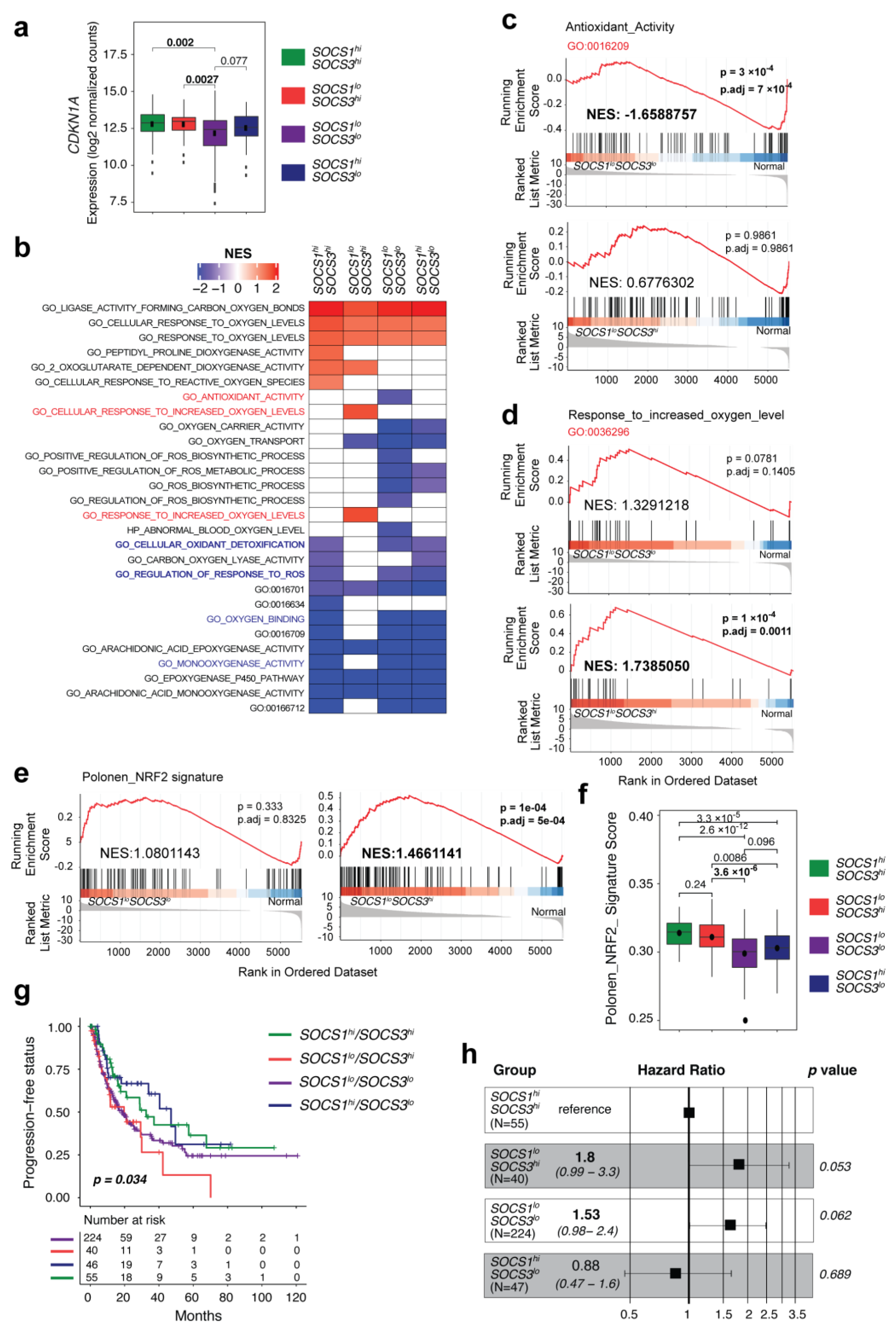 Cancers 15 00905 g004