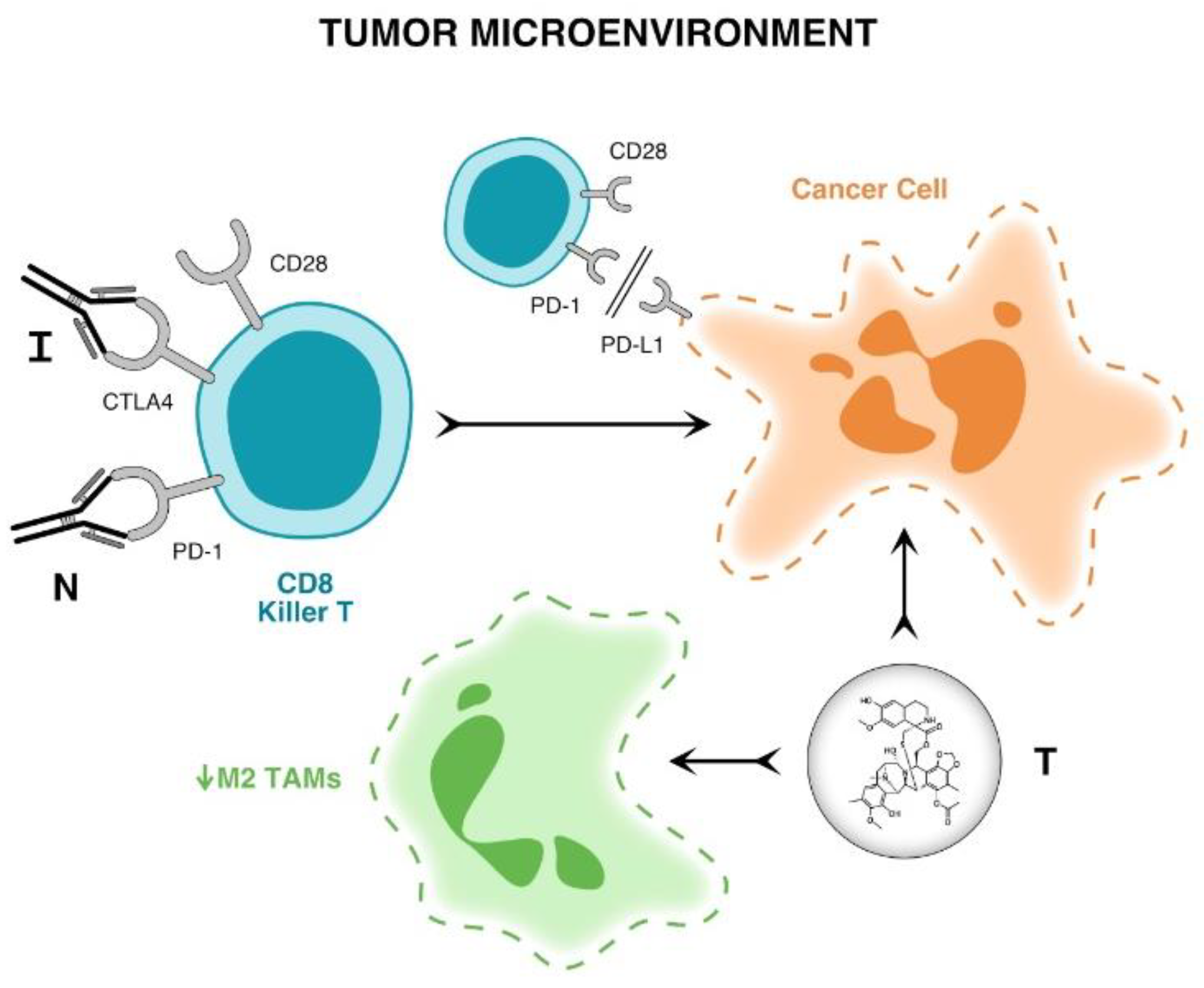 Cancers 15 00906 g001 Cancers 15 00906 g001