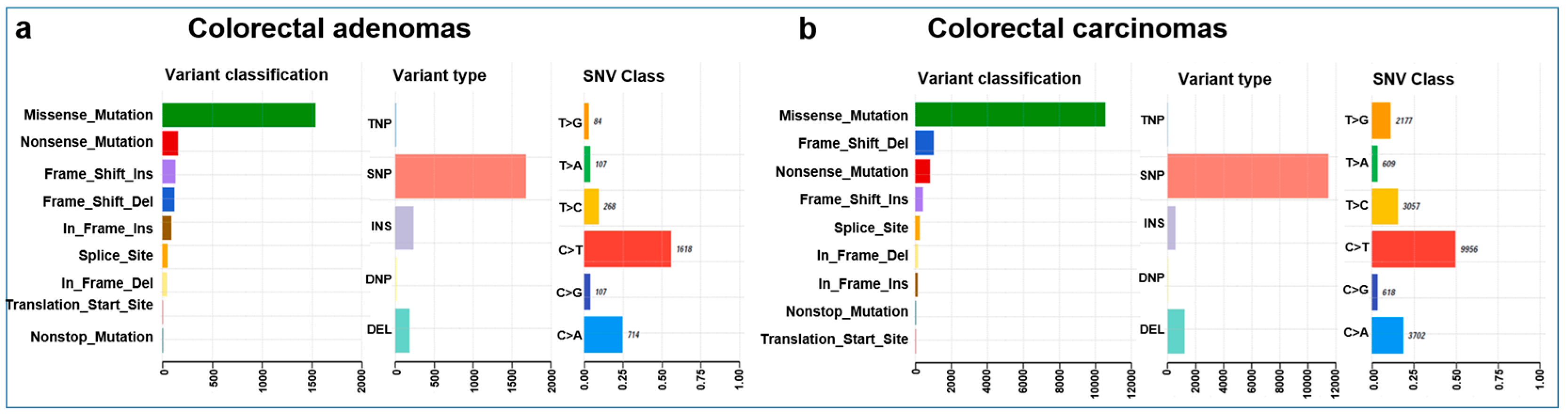 Cancers 15 00907 g001 Cancers 15 00907 g001