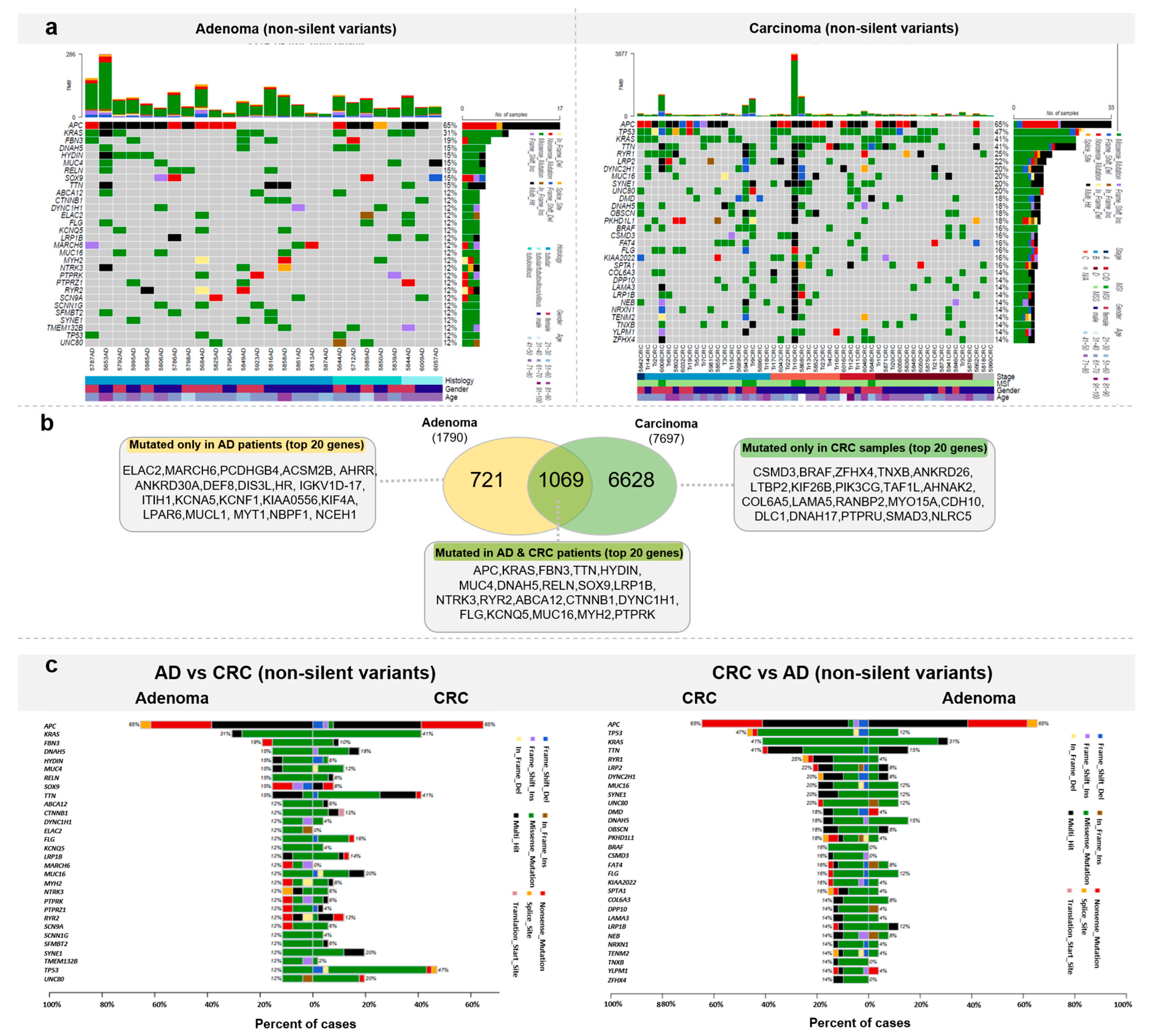 Cancers 15 00907 g004 Cancers 15 00907 g004