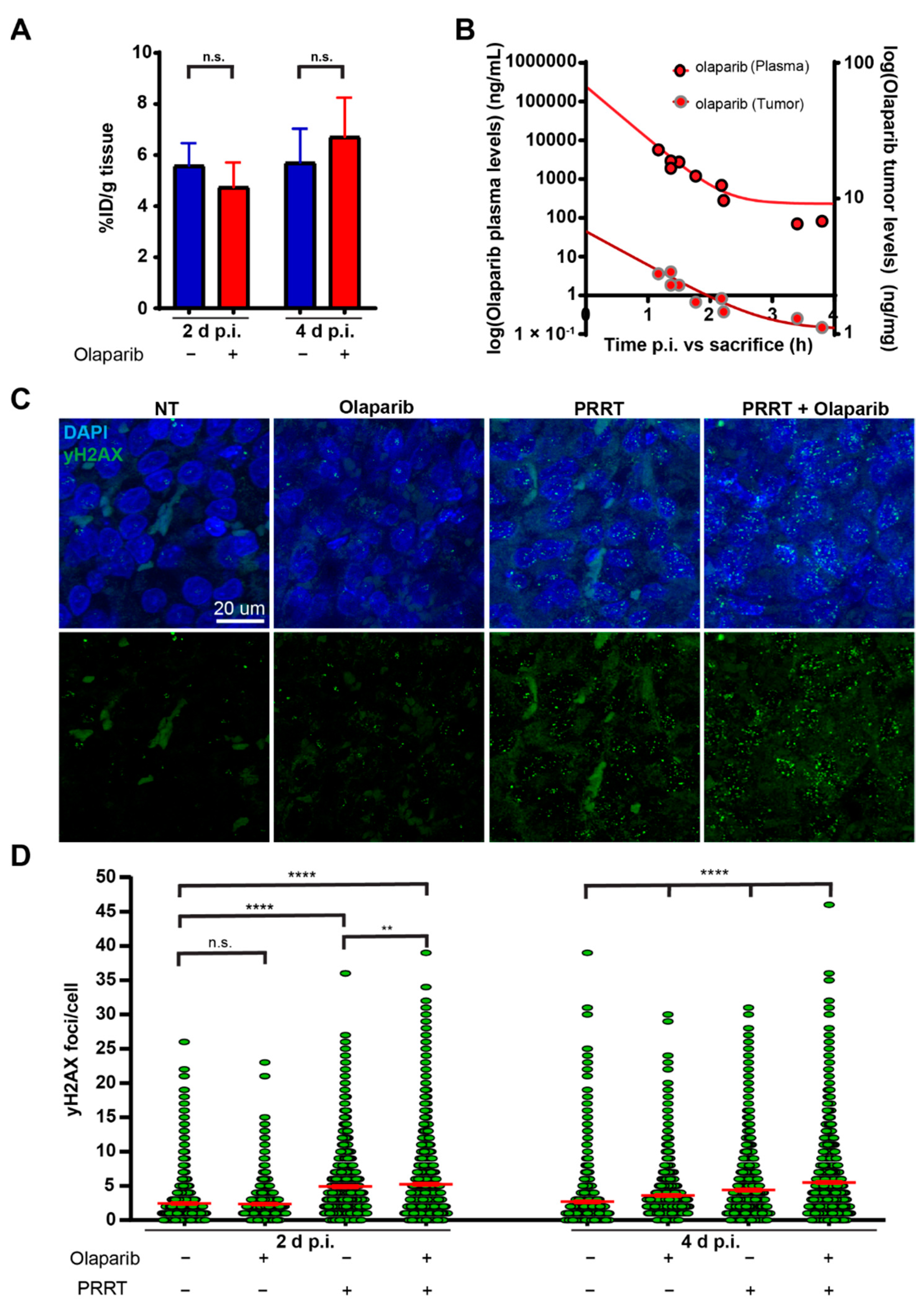 Cancers 15 00915 g001