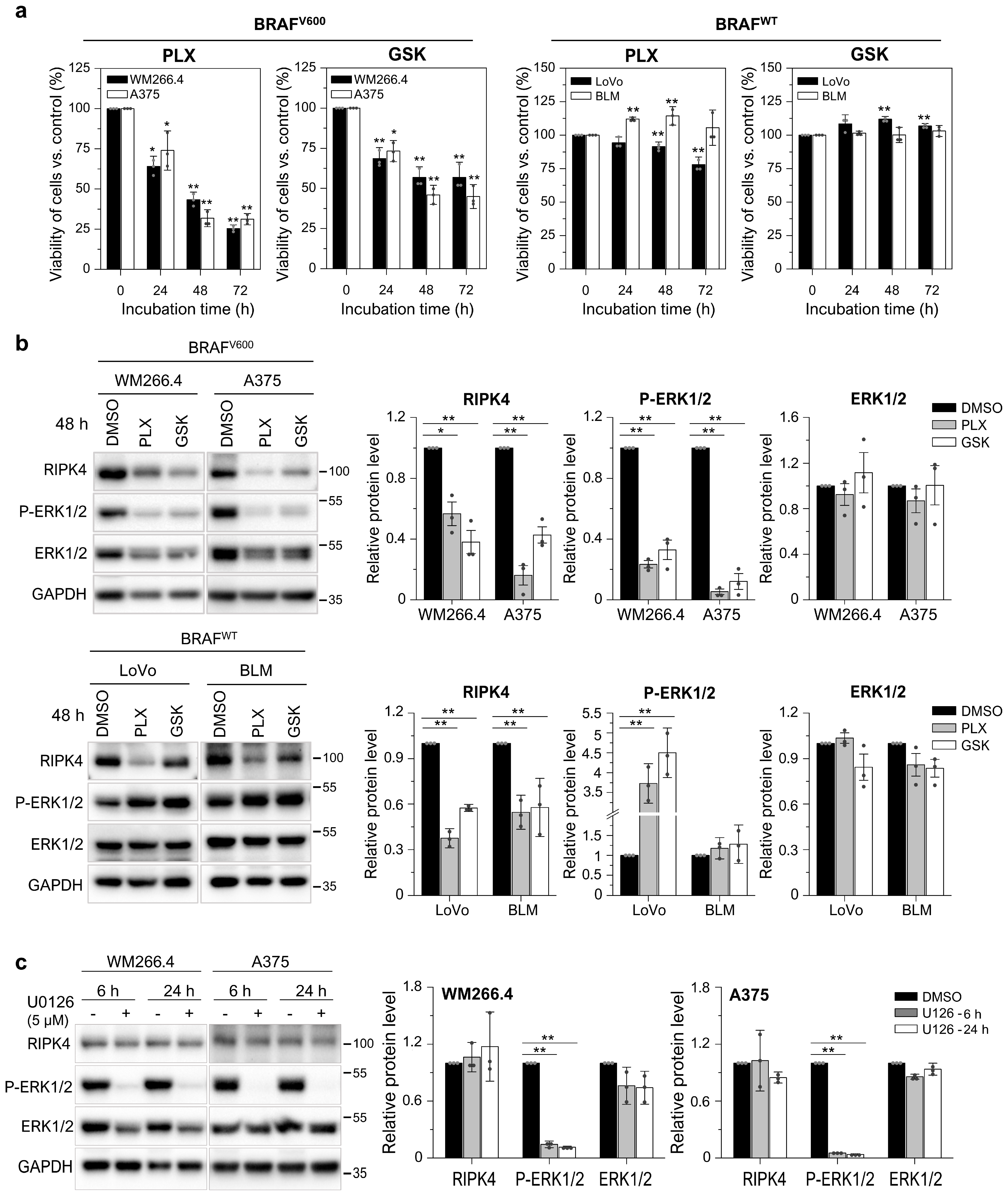 Cancers 15 00918 g003 Cancers 15 00918 g003