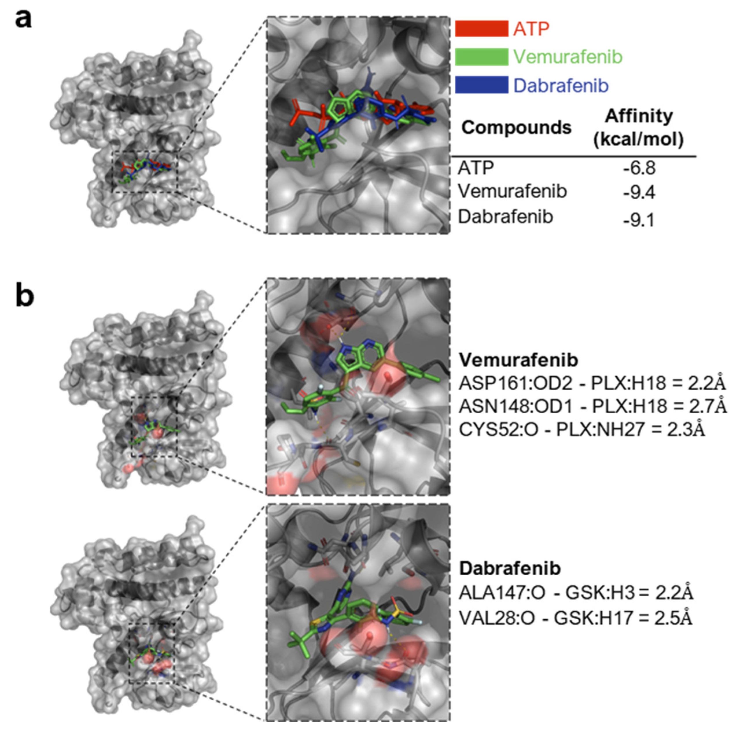 Cancers 15 00918 g005 Cancers 15 00918 g005