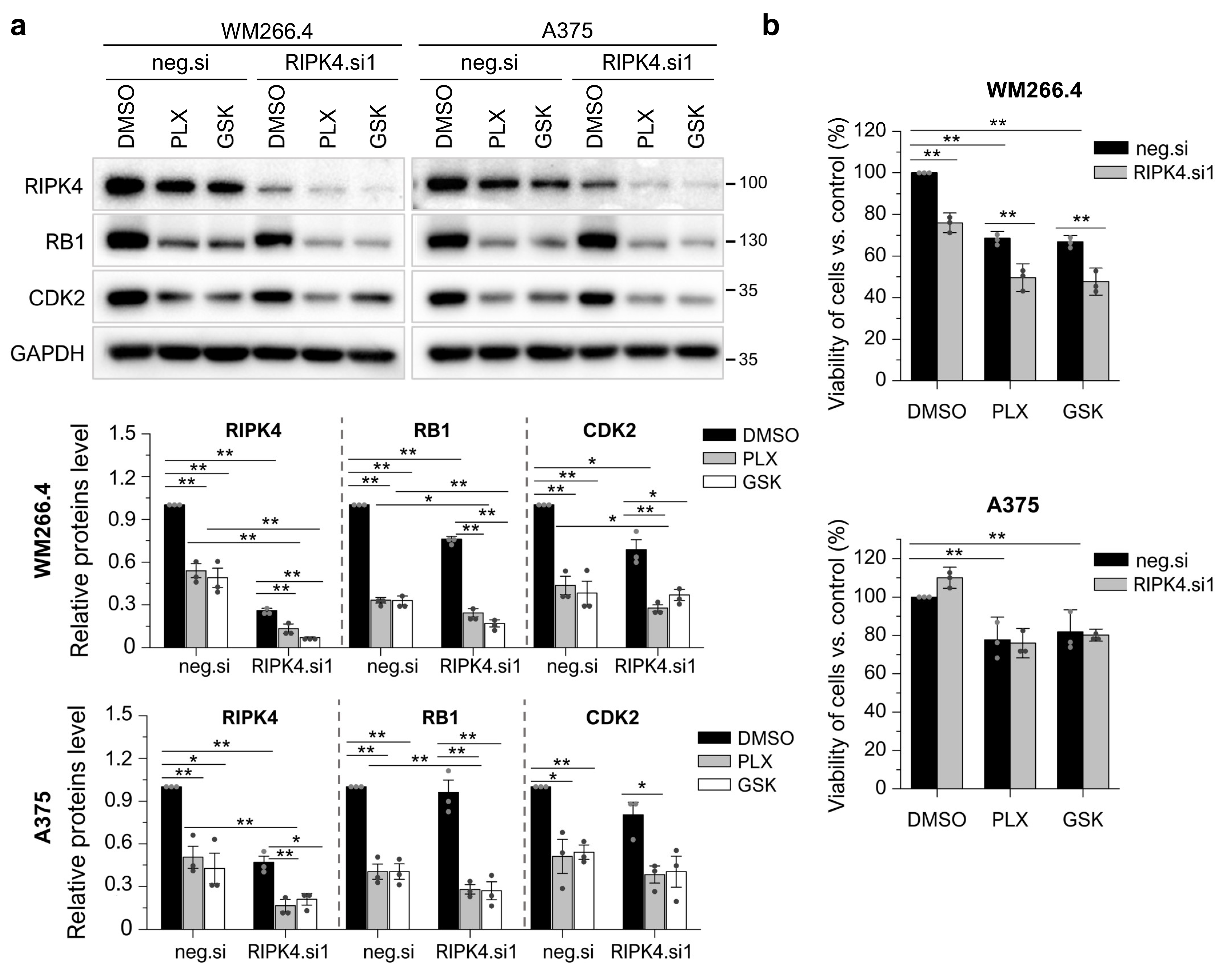 Cancers 15 00918 g008 Cancers 15 00918 g008
