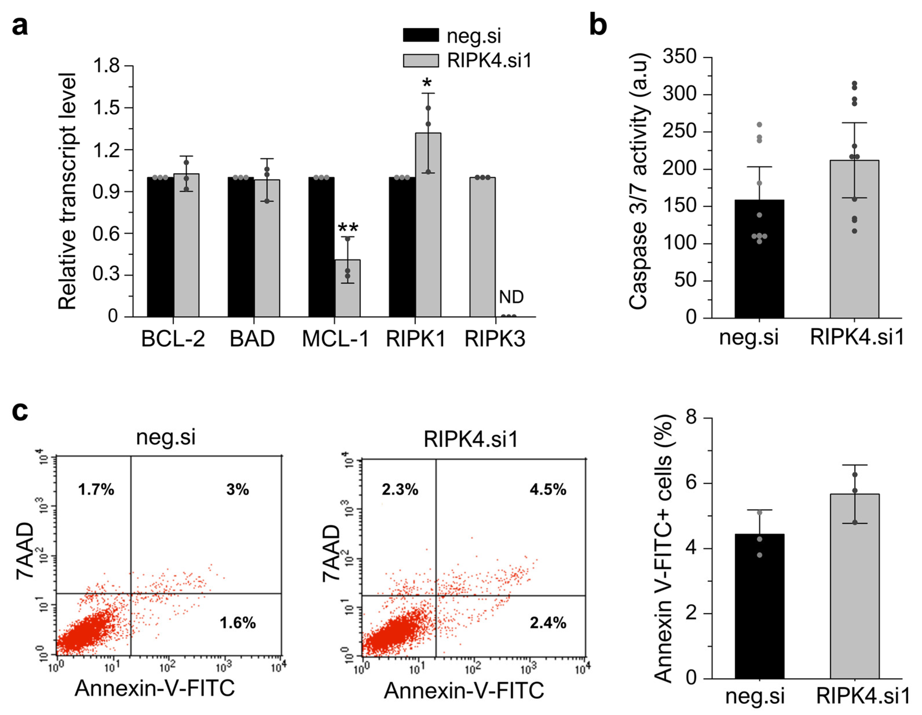 Cancers 15 00918 g009 Cancers 15 00918 g009