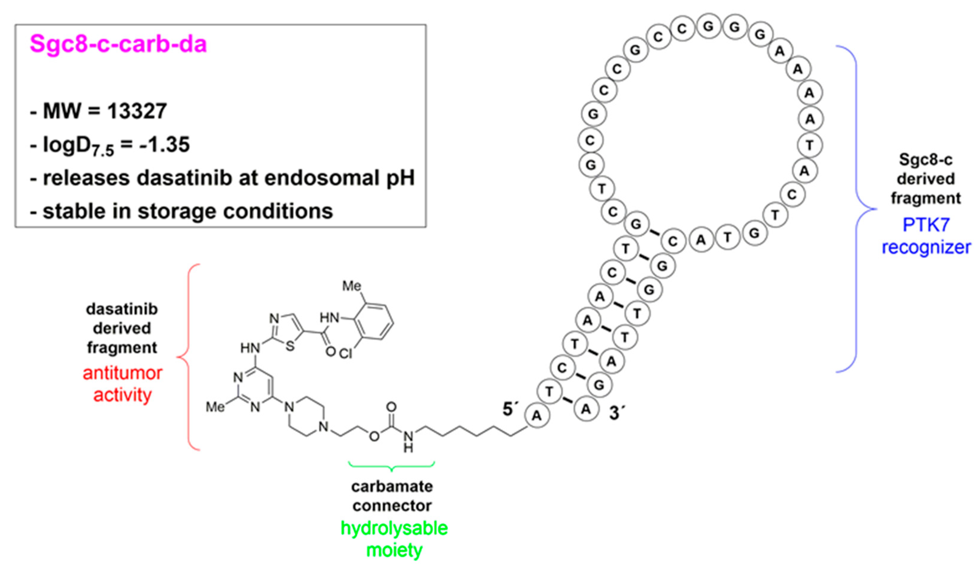 Cancers 15 00922 g001