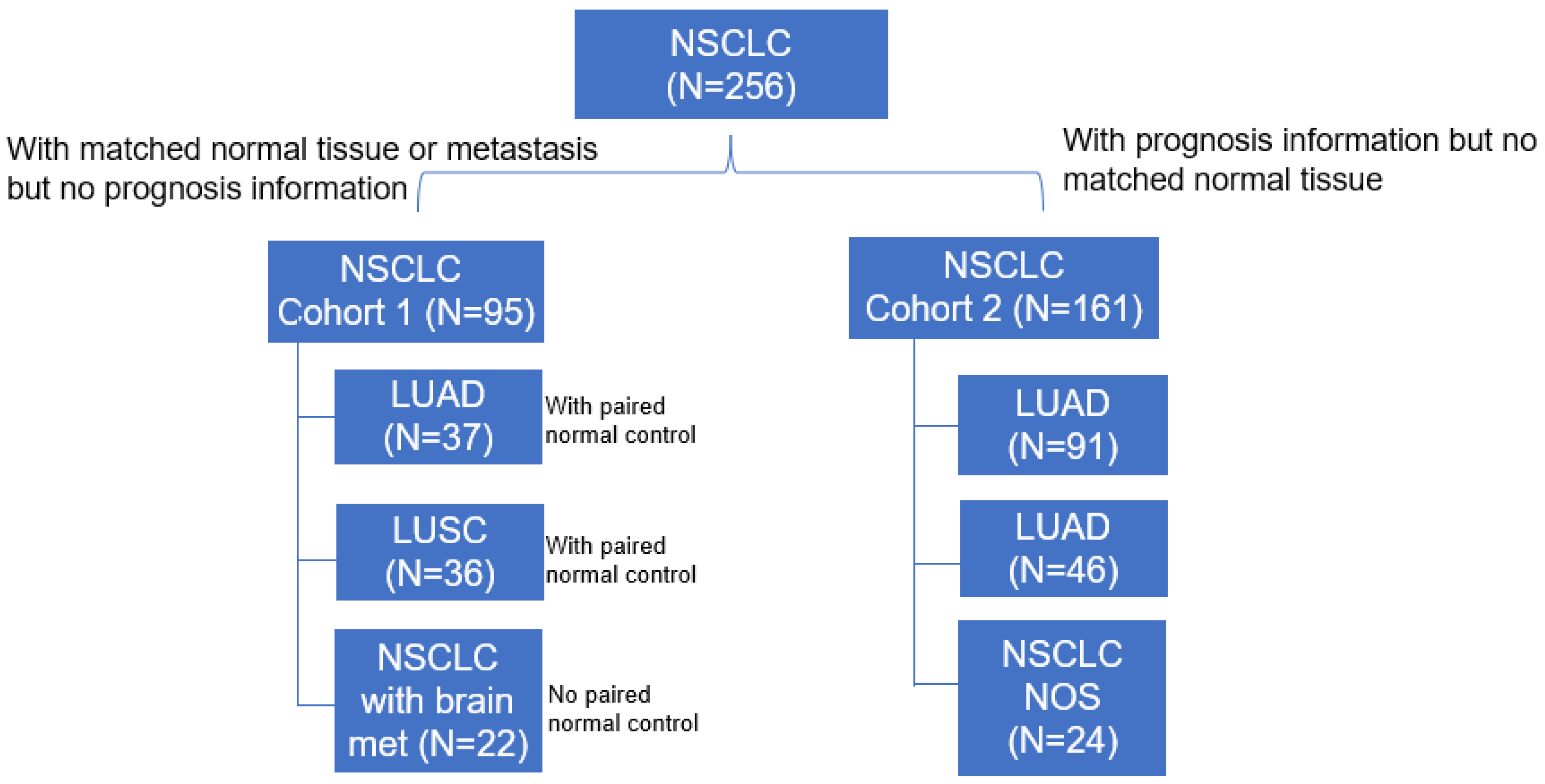 Cancers 15 00924 g001 Cancers 15 00924 g001