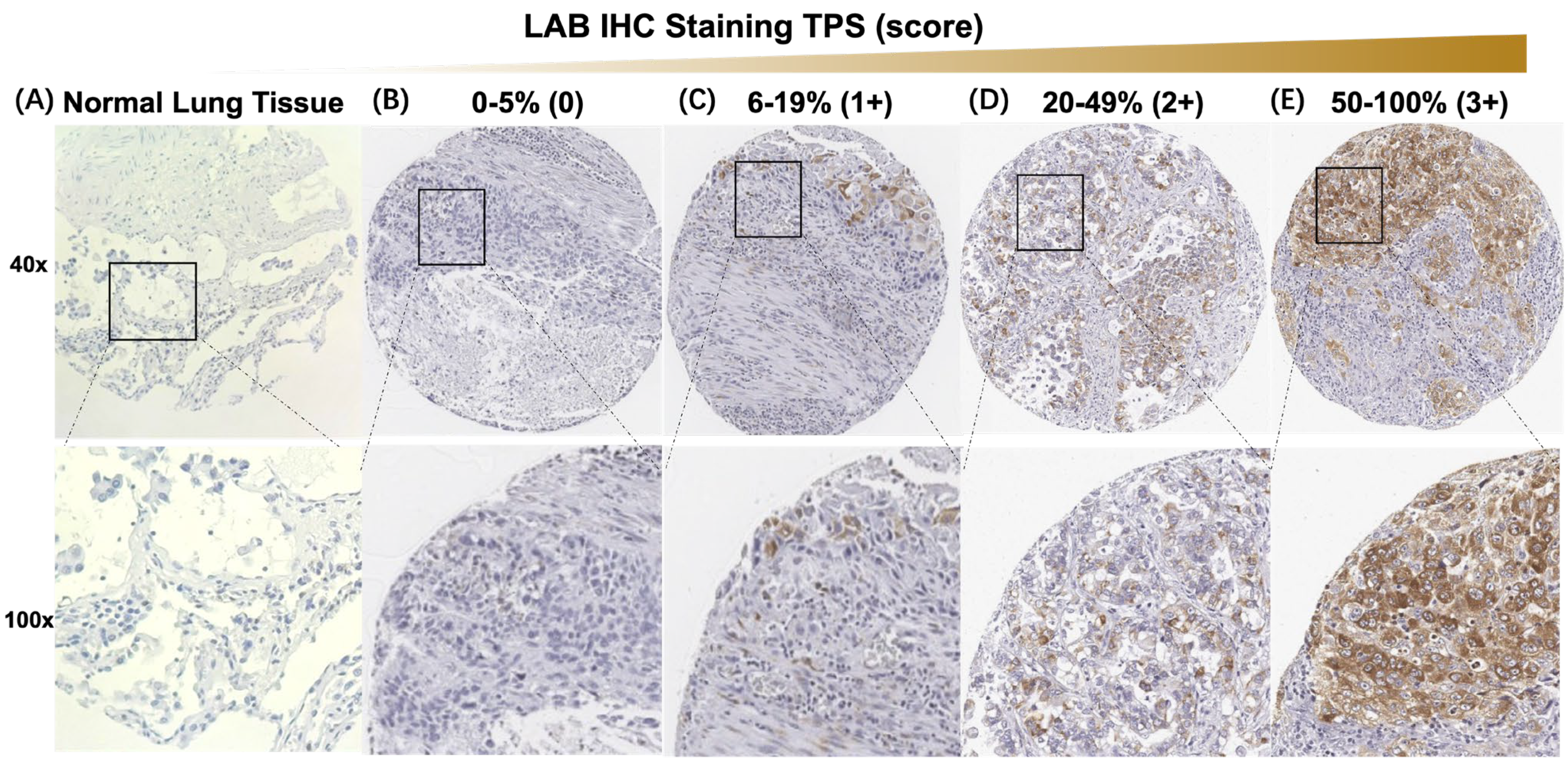 Cancers 15 00924 g002 Cancers 15 00924 g002