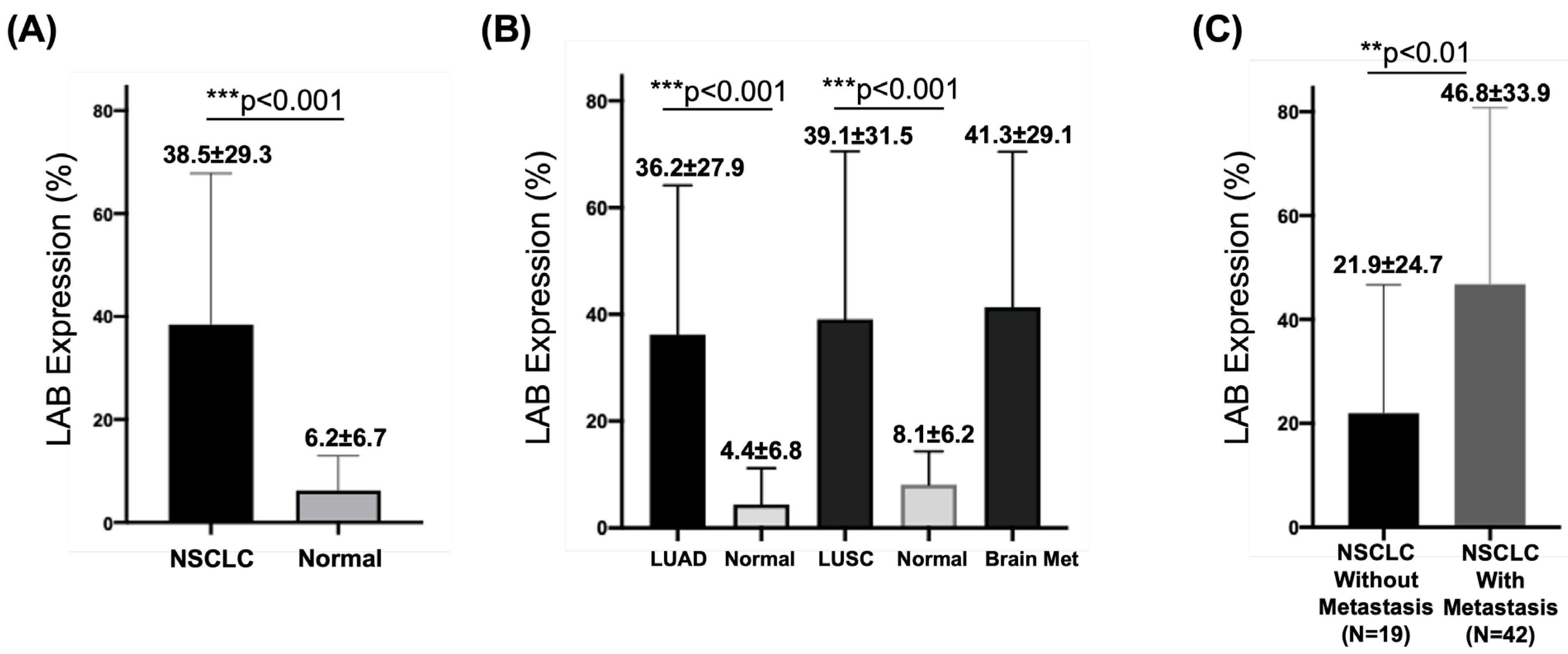 Cancers 15 00924 g003 Cancers 15 00924 g003