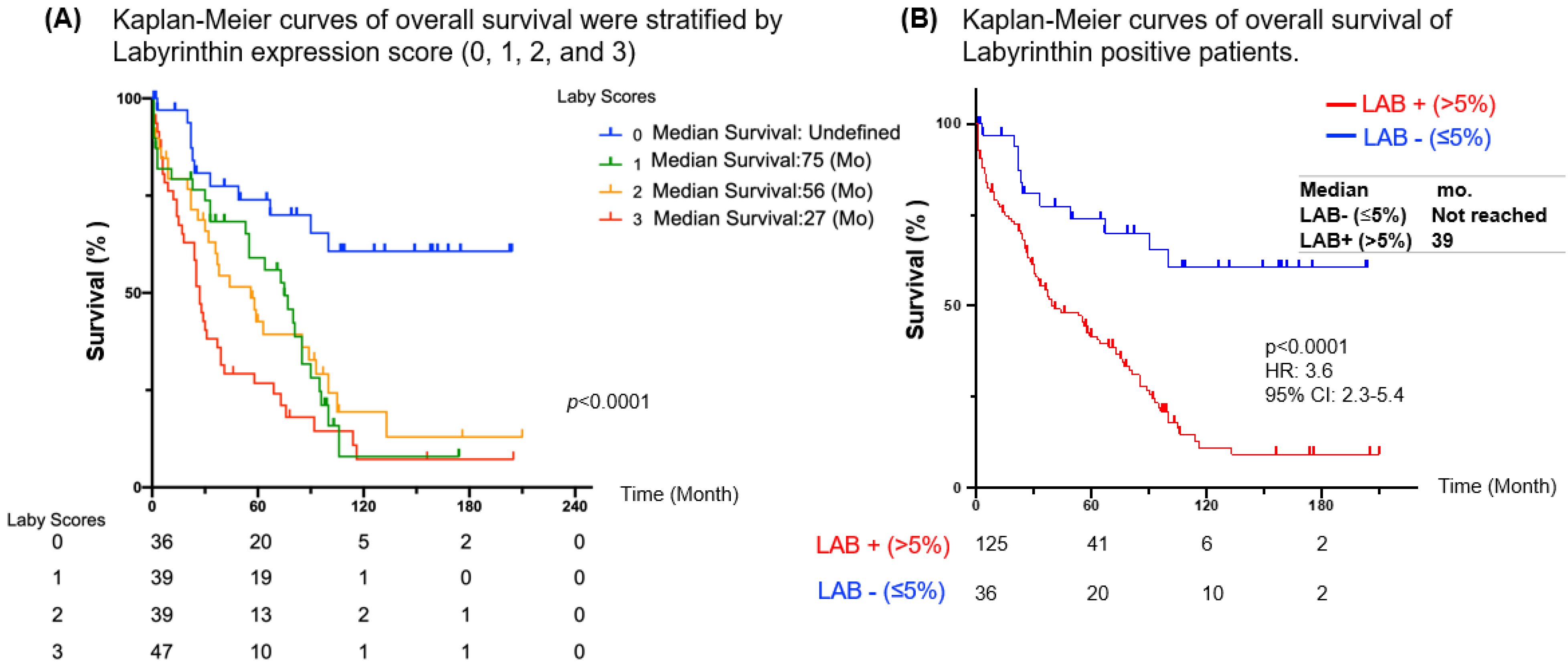 Cancers 15 00924 g004 Cancers 15 00924 g004