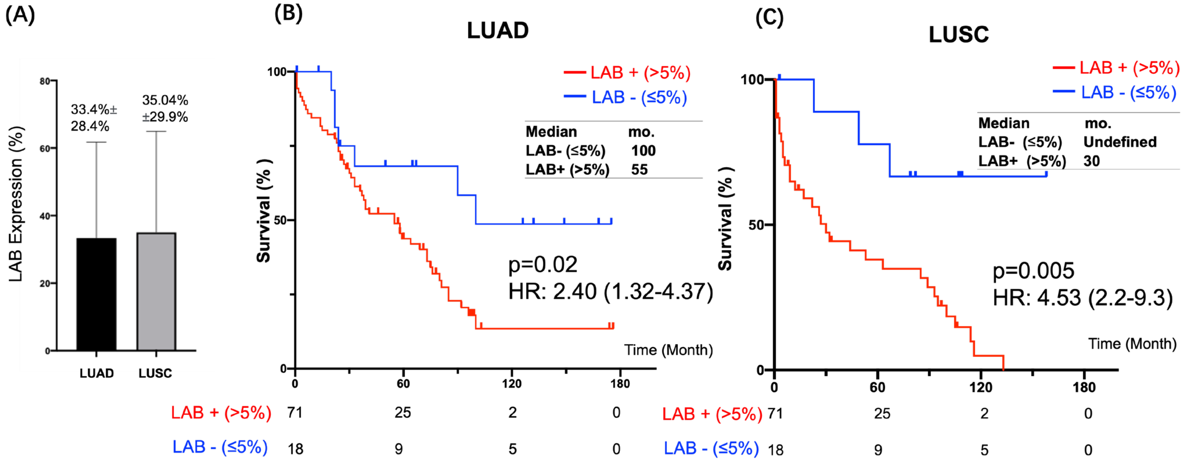 Cancers 15 00924 g005 Cancers 15 00924 g005