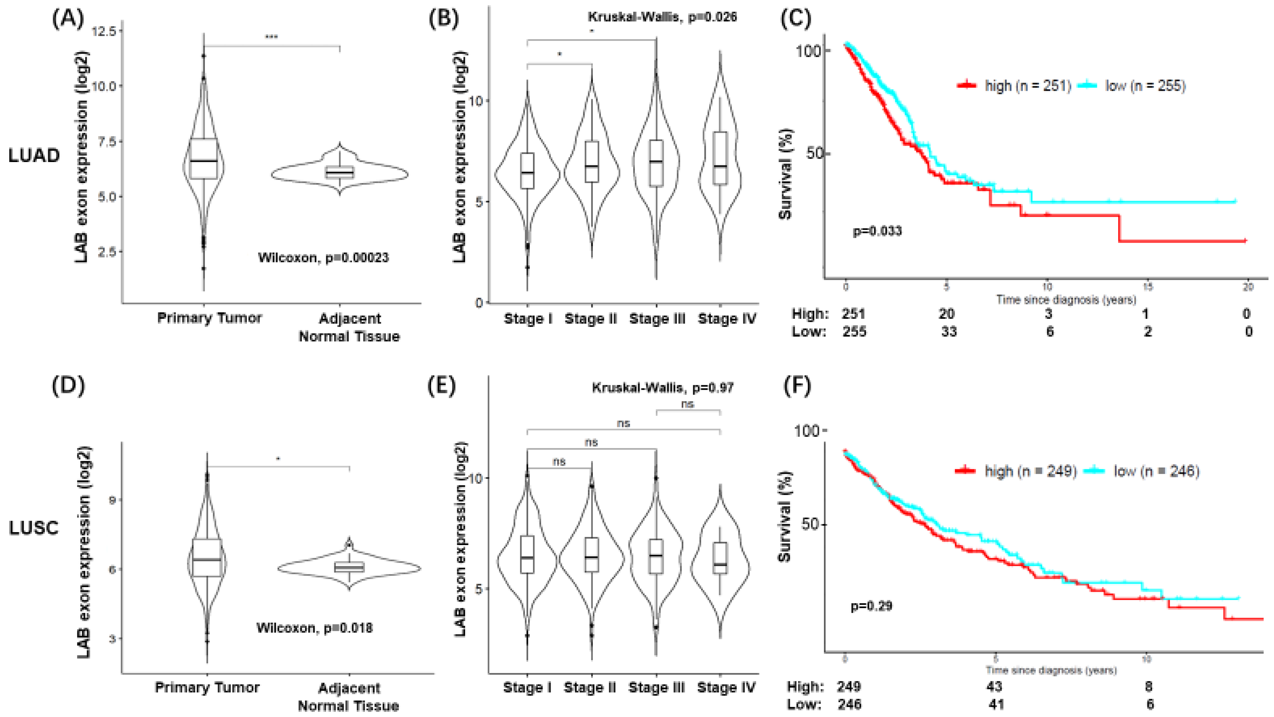 Cancers 15 00924 g006 Cancers 15 00924 g006