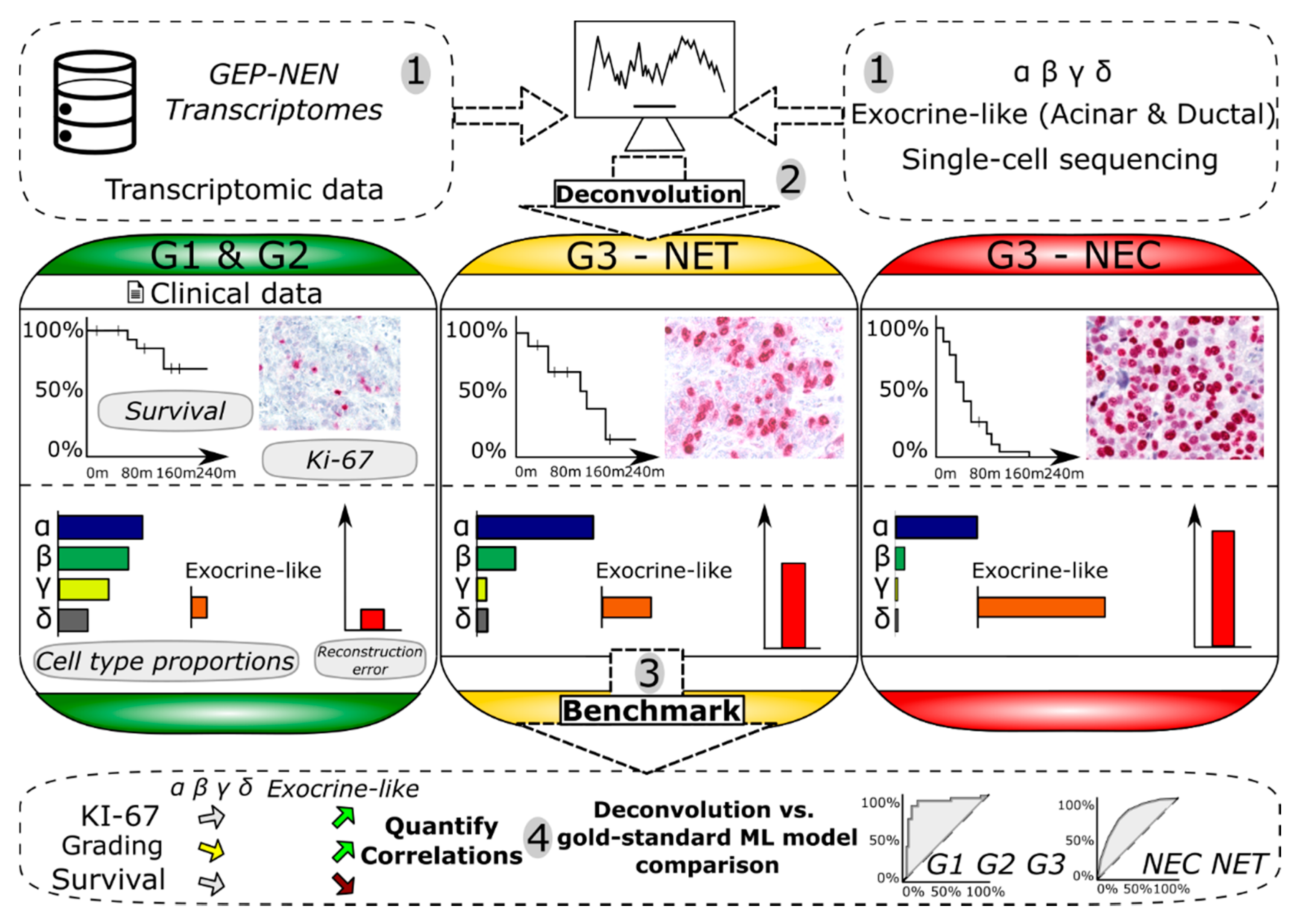 Cancers 15 00936 g001 Cancers 15 00936 g001