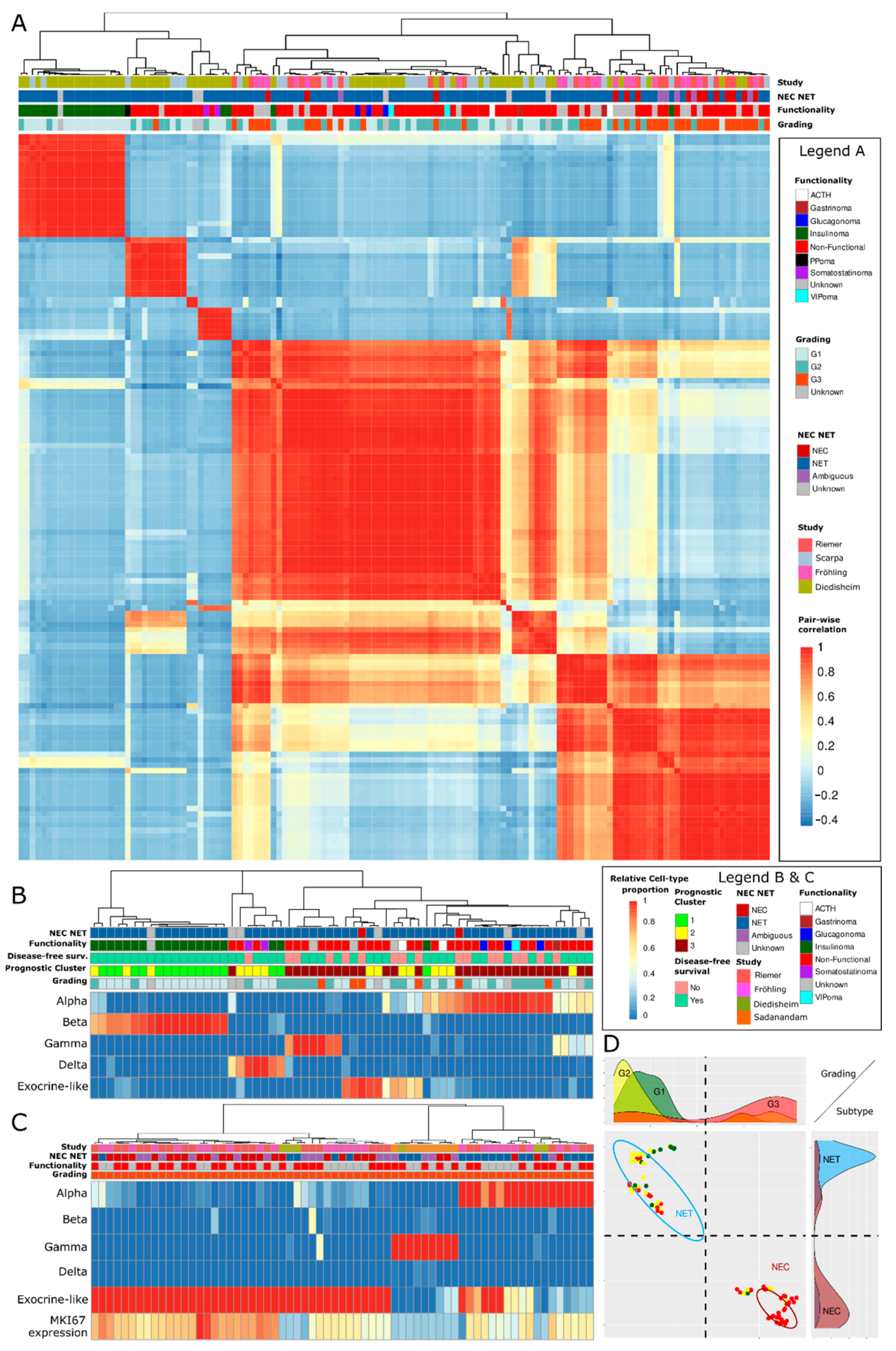 Cancers 15 00936 g004 Cancers 15 00936 g004