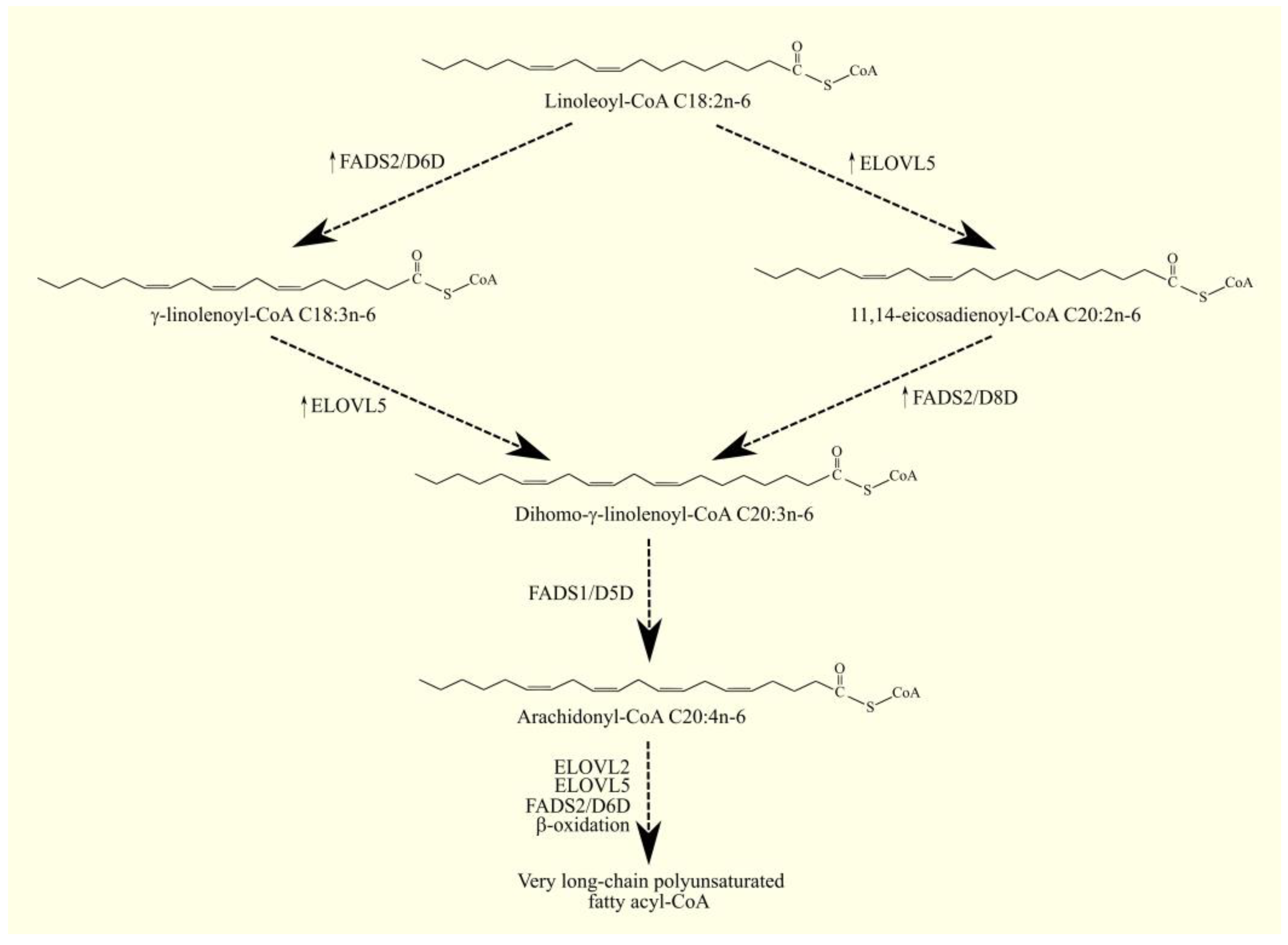 Cancers 15 00946 g001 Cancers 15 00946 g001