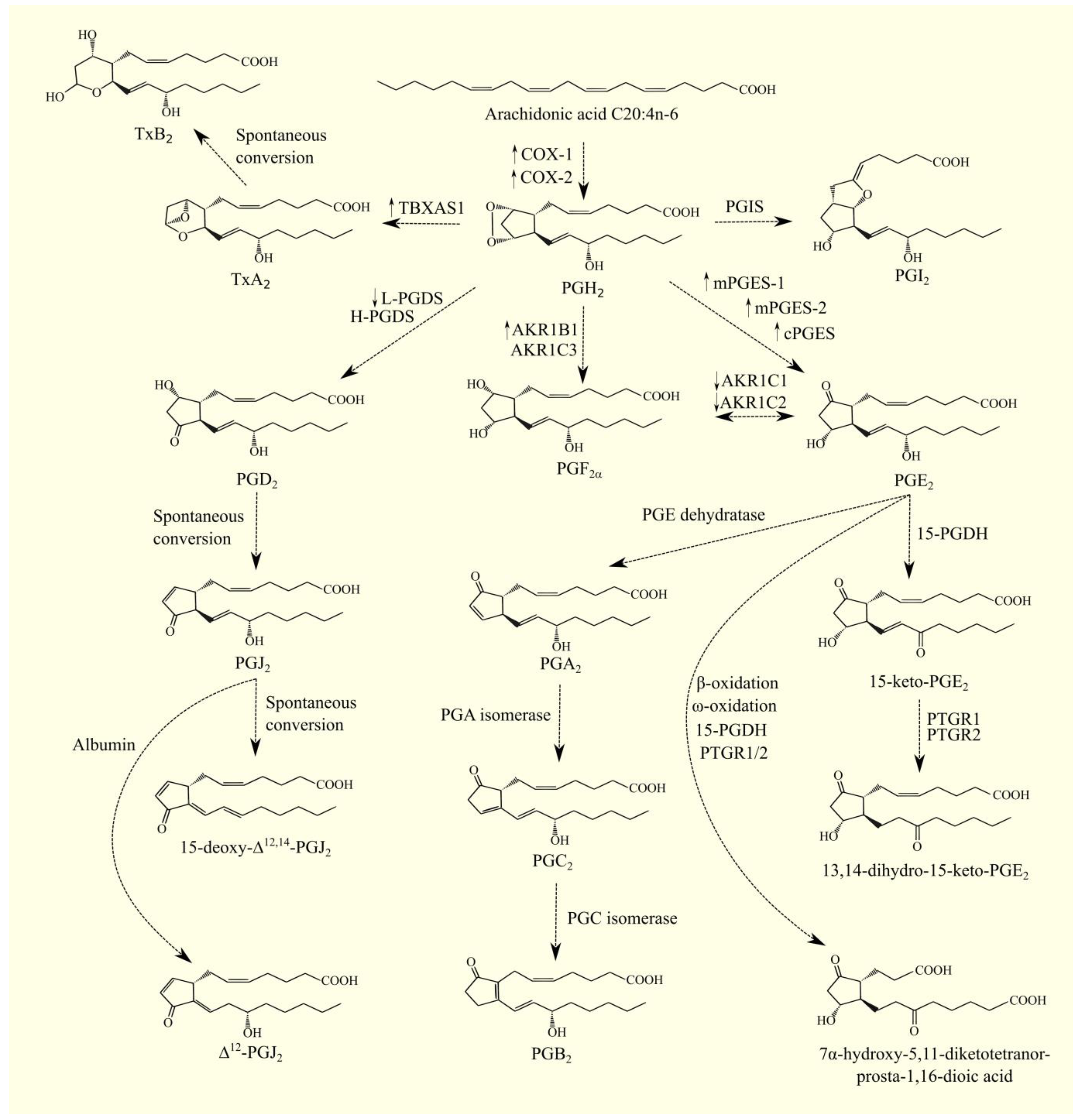 Cancers 15 00946 g003 Cancers 15 00946 g003