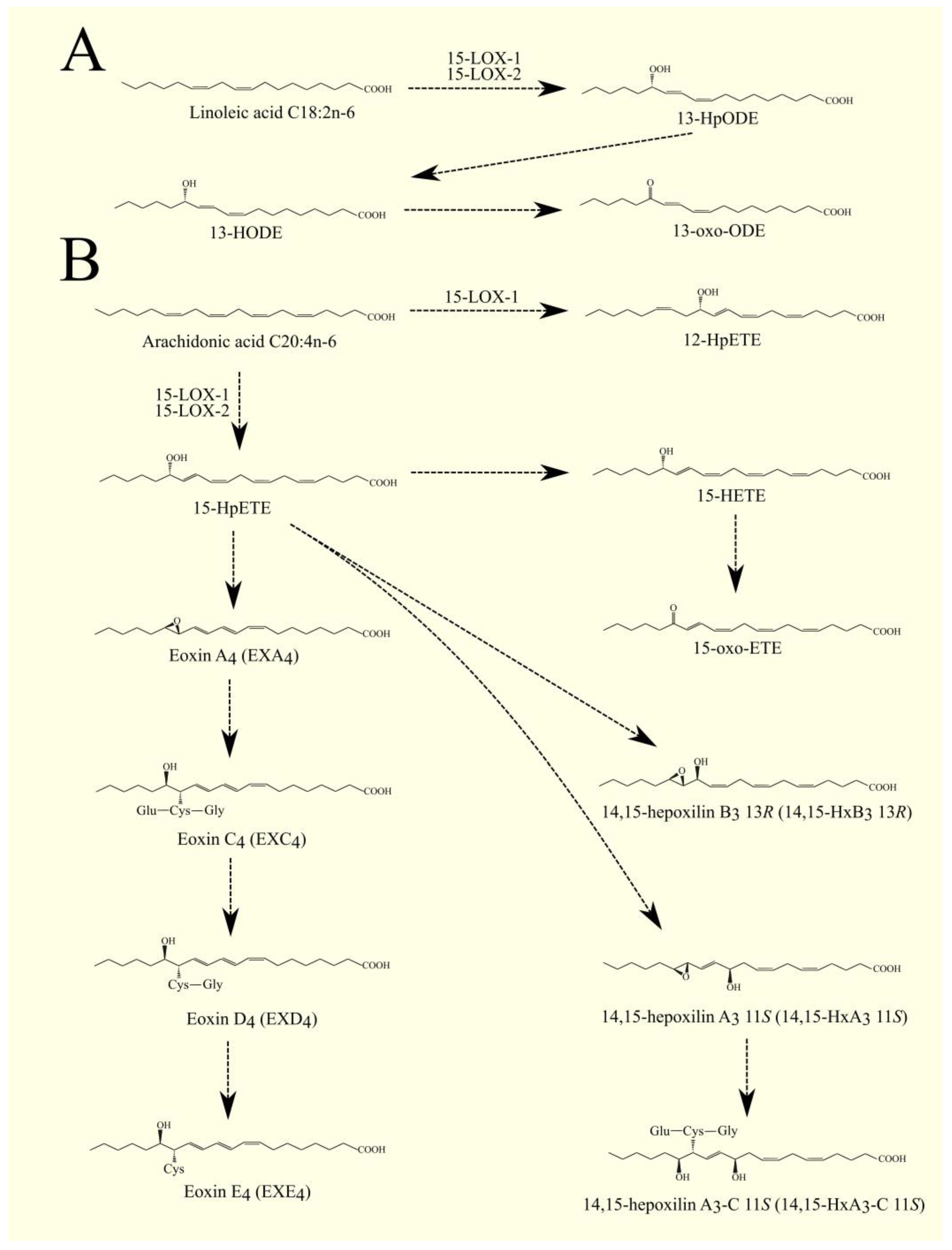 Cancers 15 00946 g006 Cancers 15 00946 g006