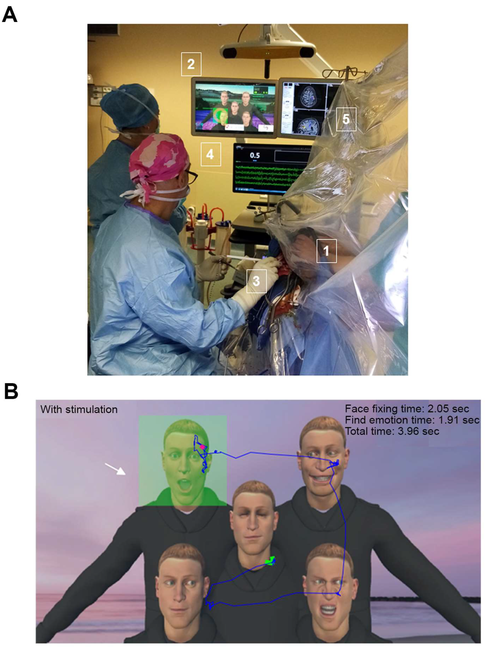 Cancers 15 00949 g001 550