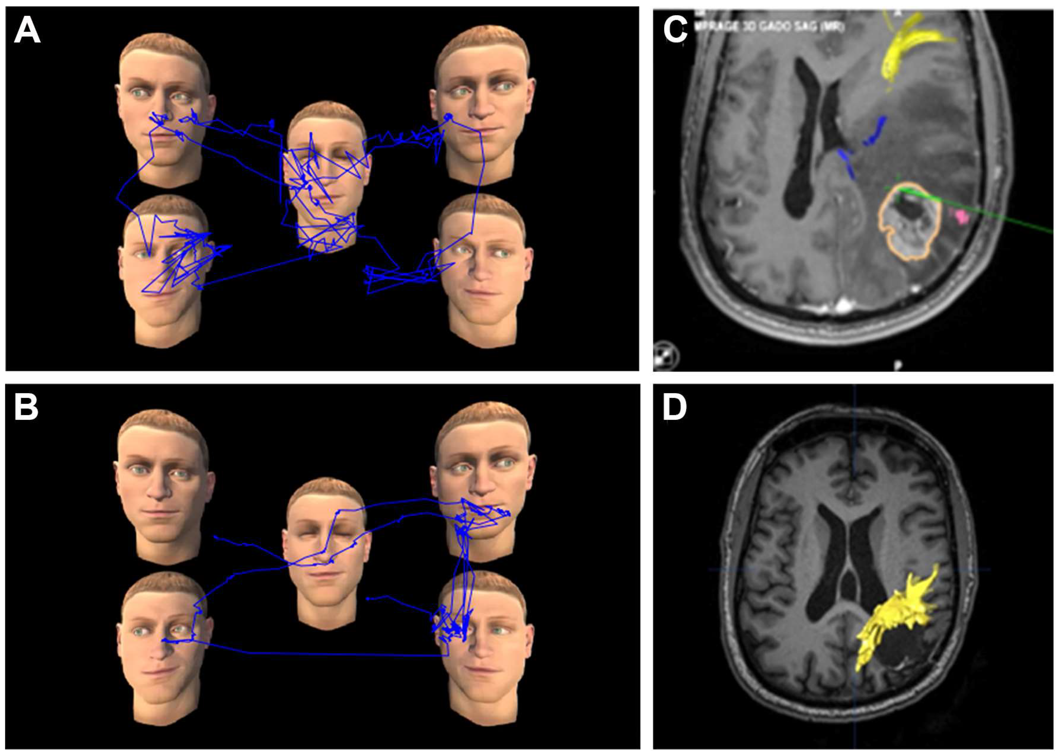 Cancers 15 00949 g004 550
