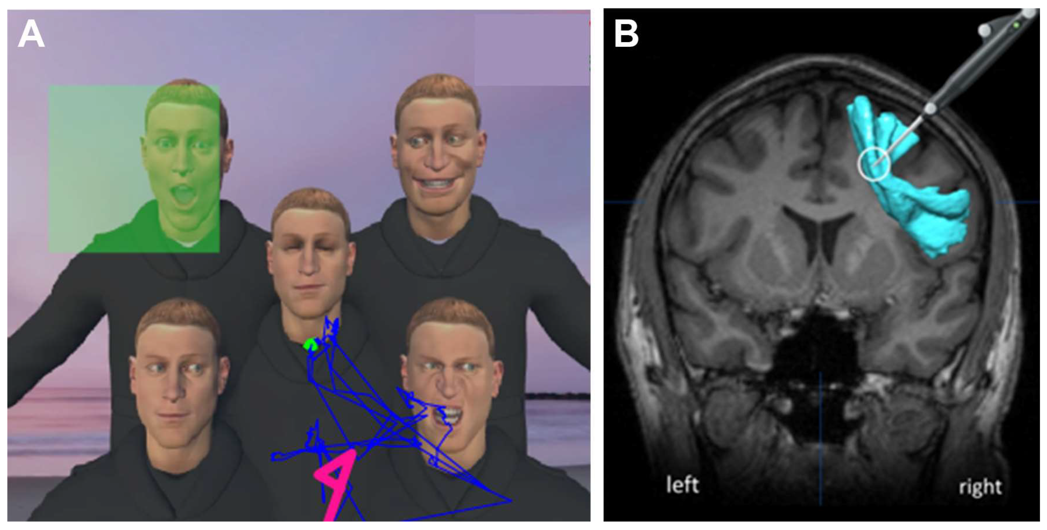 Cancers 15 00949 g005 550