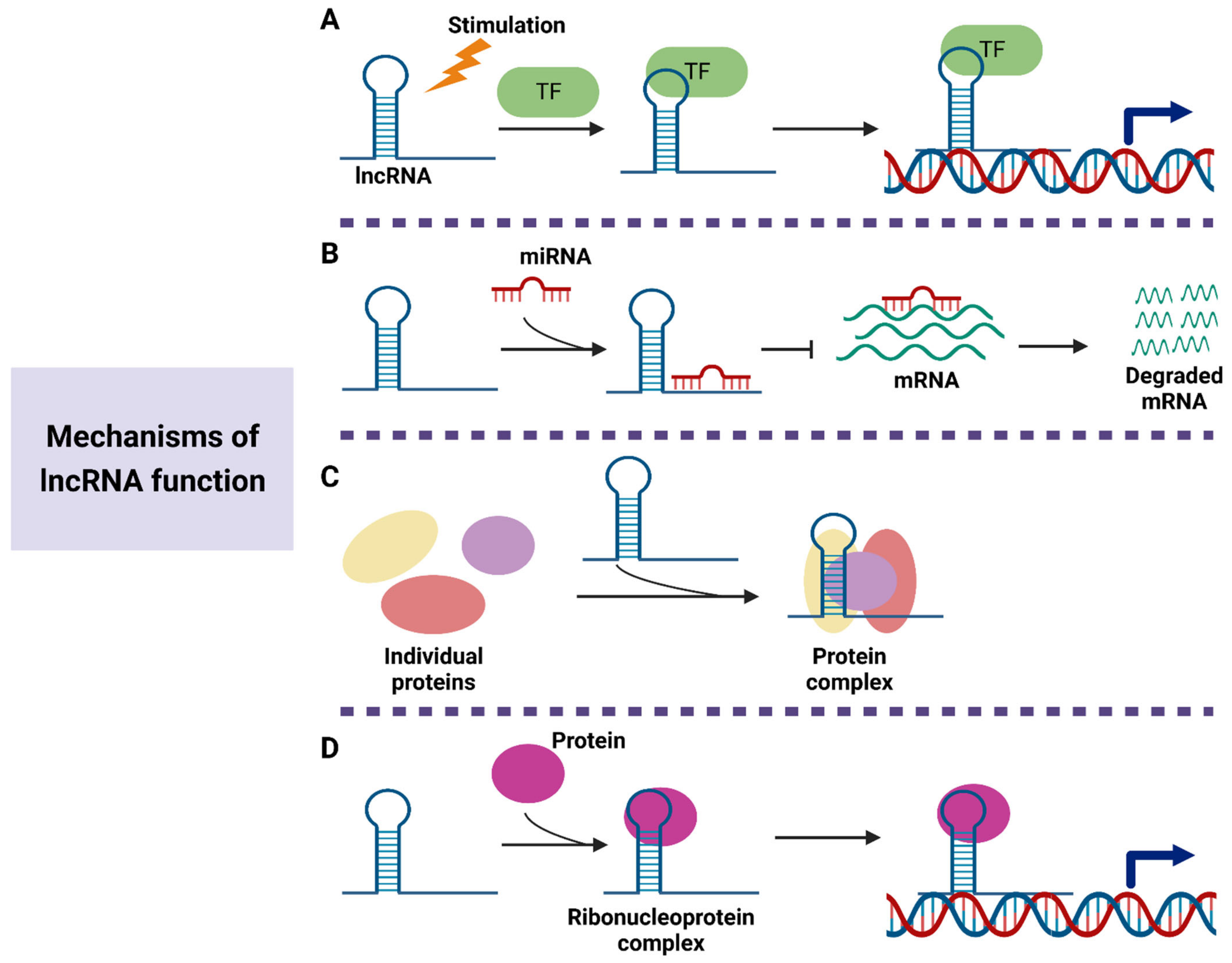 Cancers 15 00959 g002
