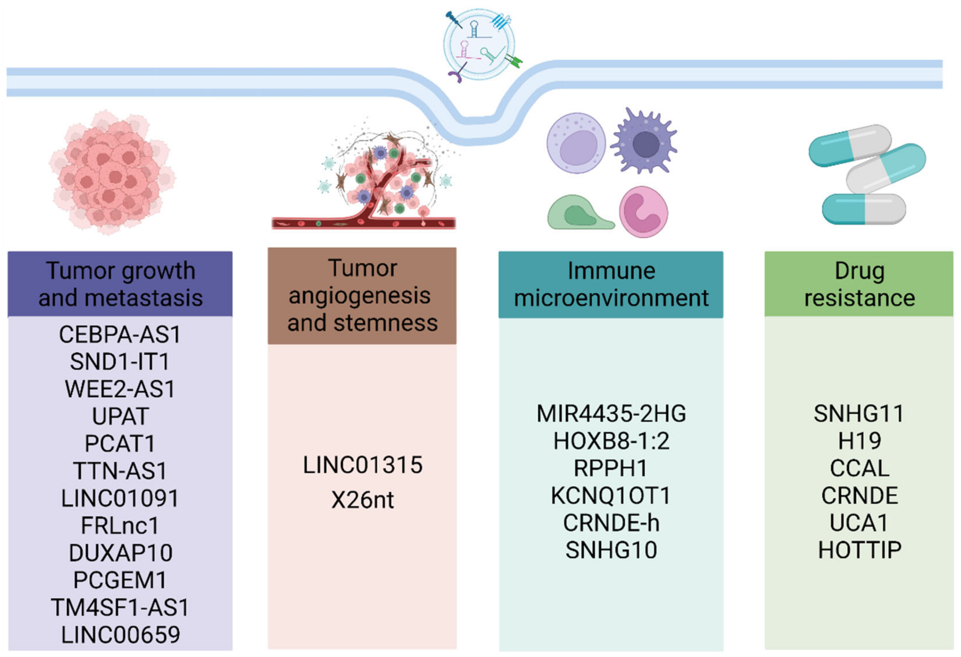 Cancers | Free Full-Text | Exosomal LncRNAs in Gastrointestinal 