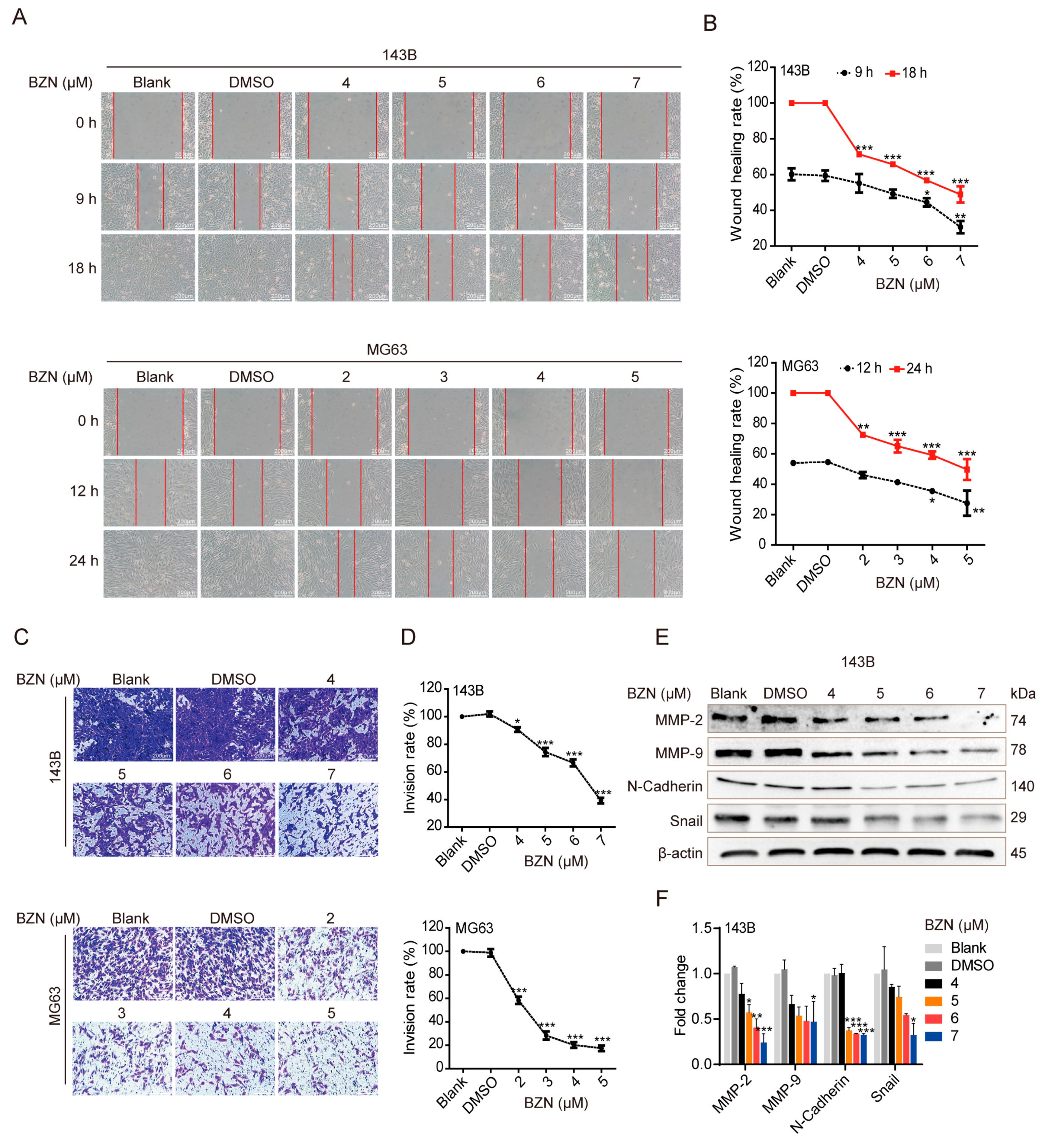 Cancers 15 00961 g002 Cancers 15 00961 g002