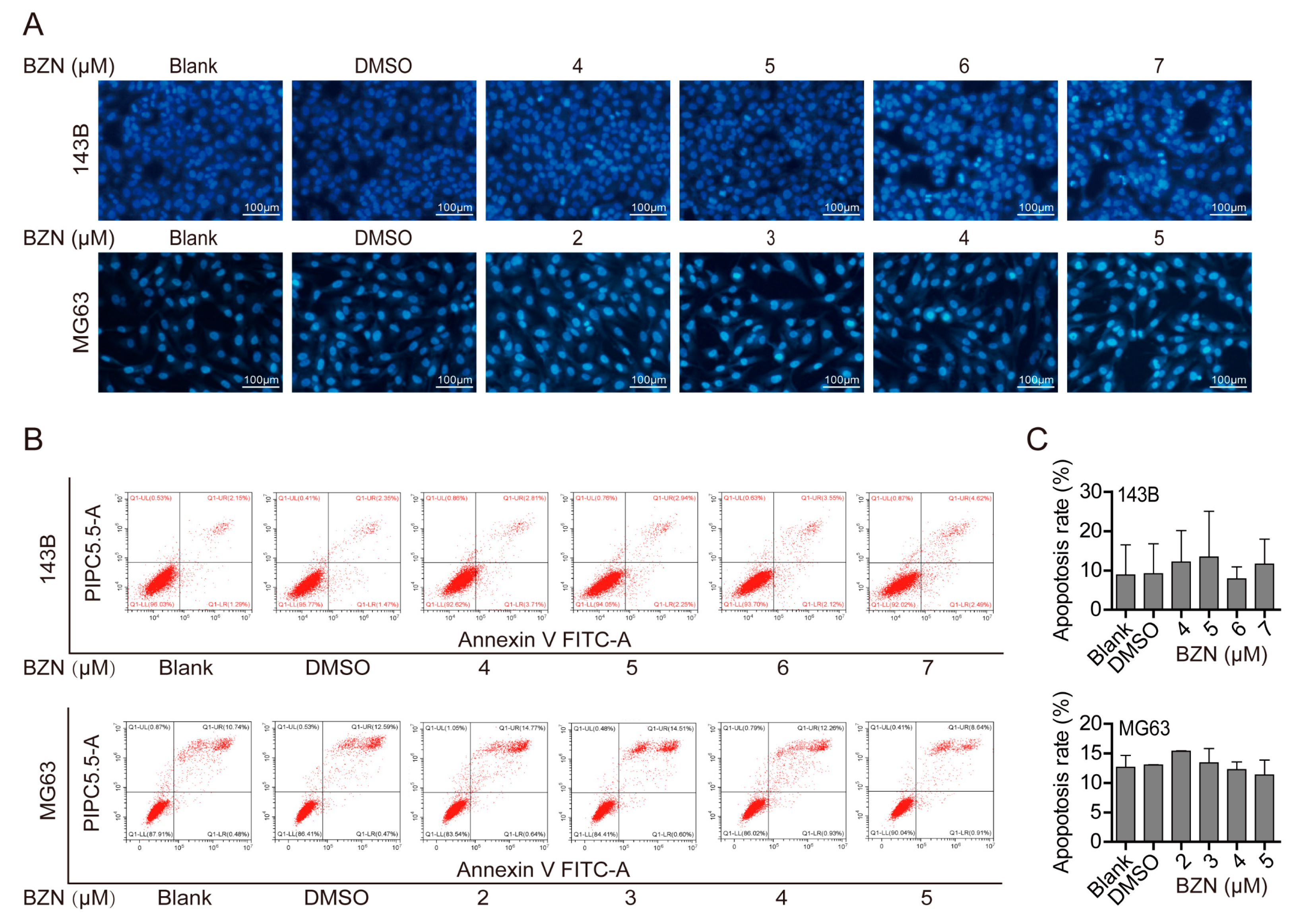 Cancers 15 00961 g003 Cancers 15 00961 g003