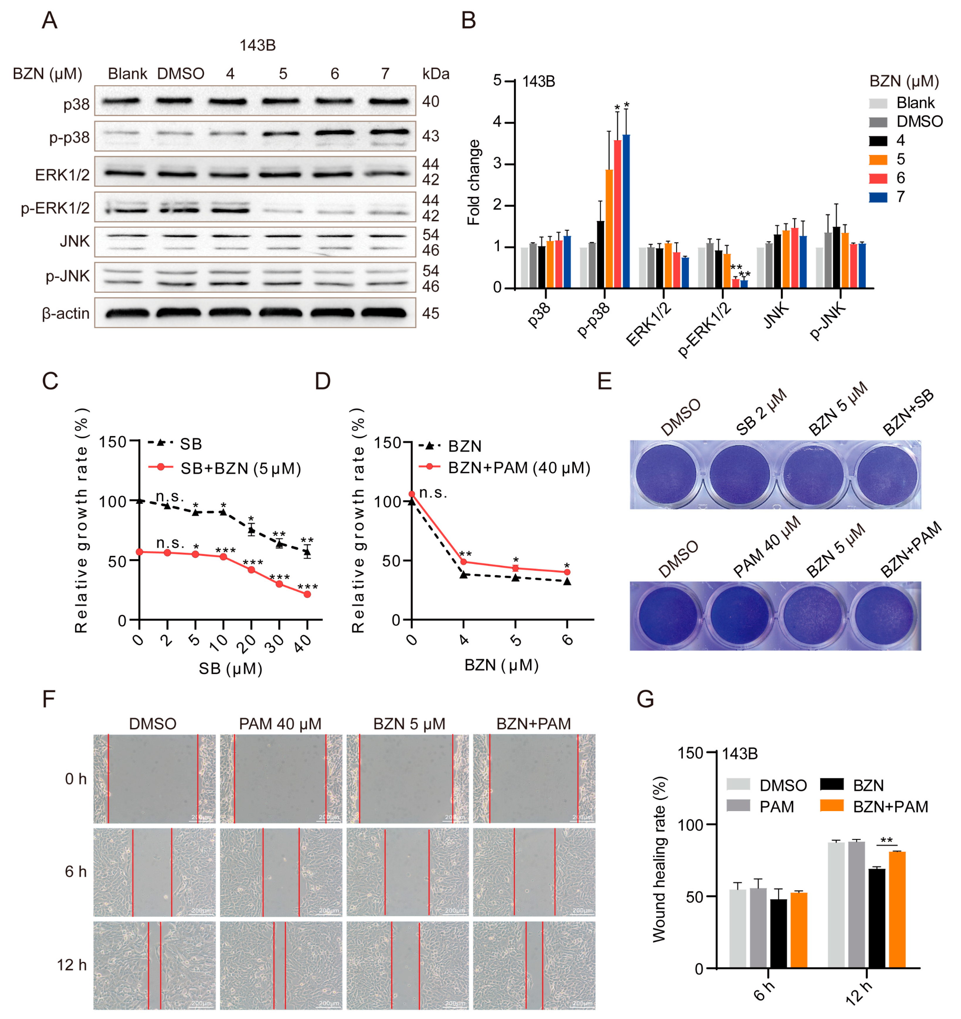 Cancers 15 00961 g004 Cancers 15 00961 g004