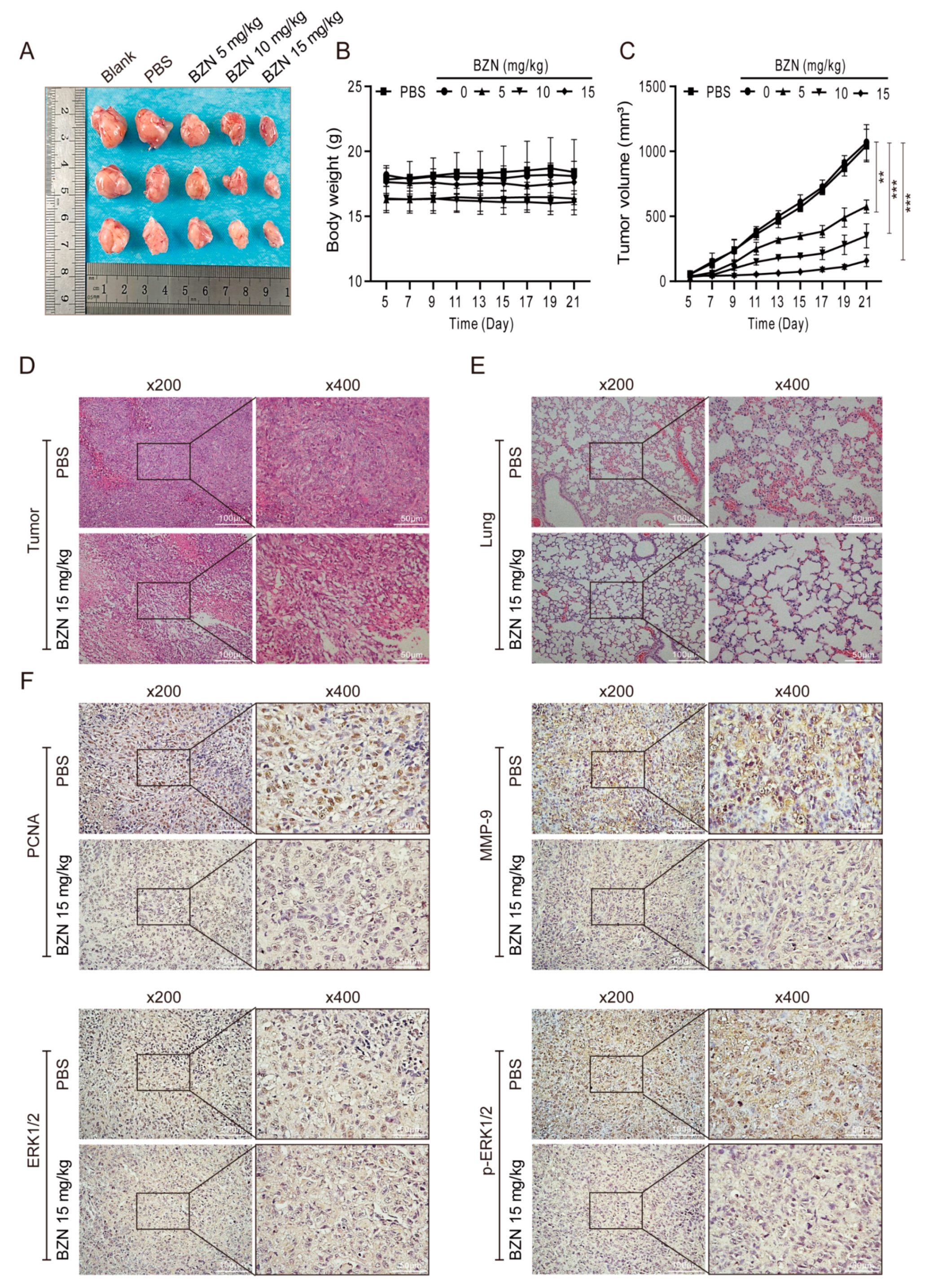 Cancers 15 00961 g005 Cancers 15 00961 g005