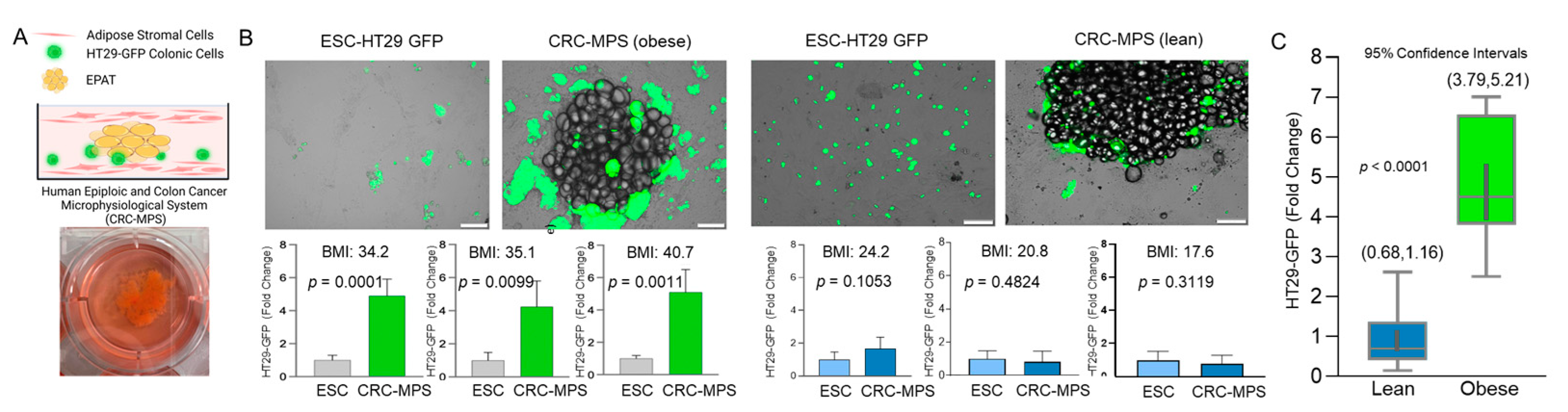 Cancers 15 00977 g001 Cancers 15 00977 g001