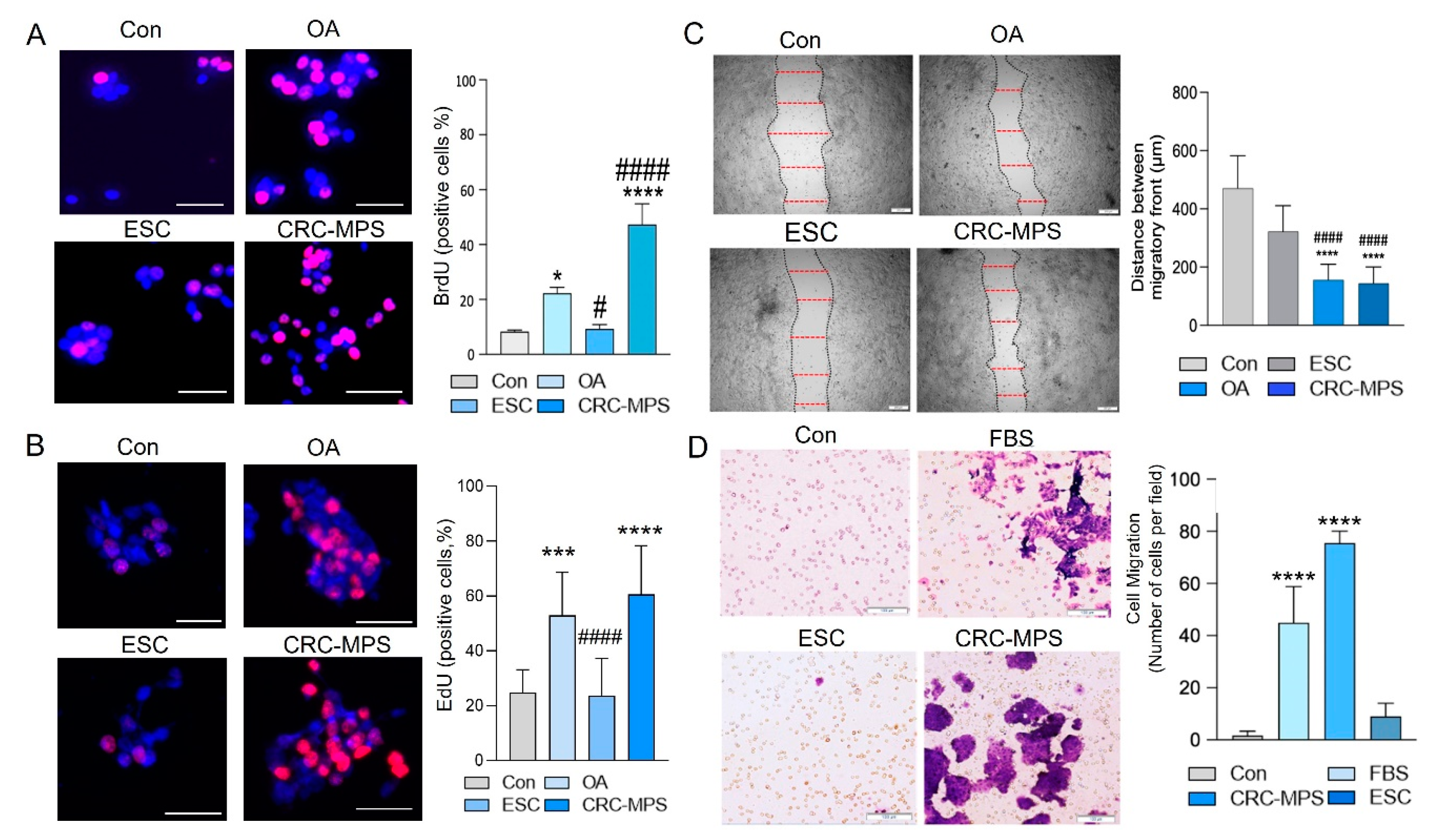 Cancers 15 00977 g002 Cancers 15 00977 g002