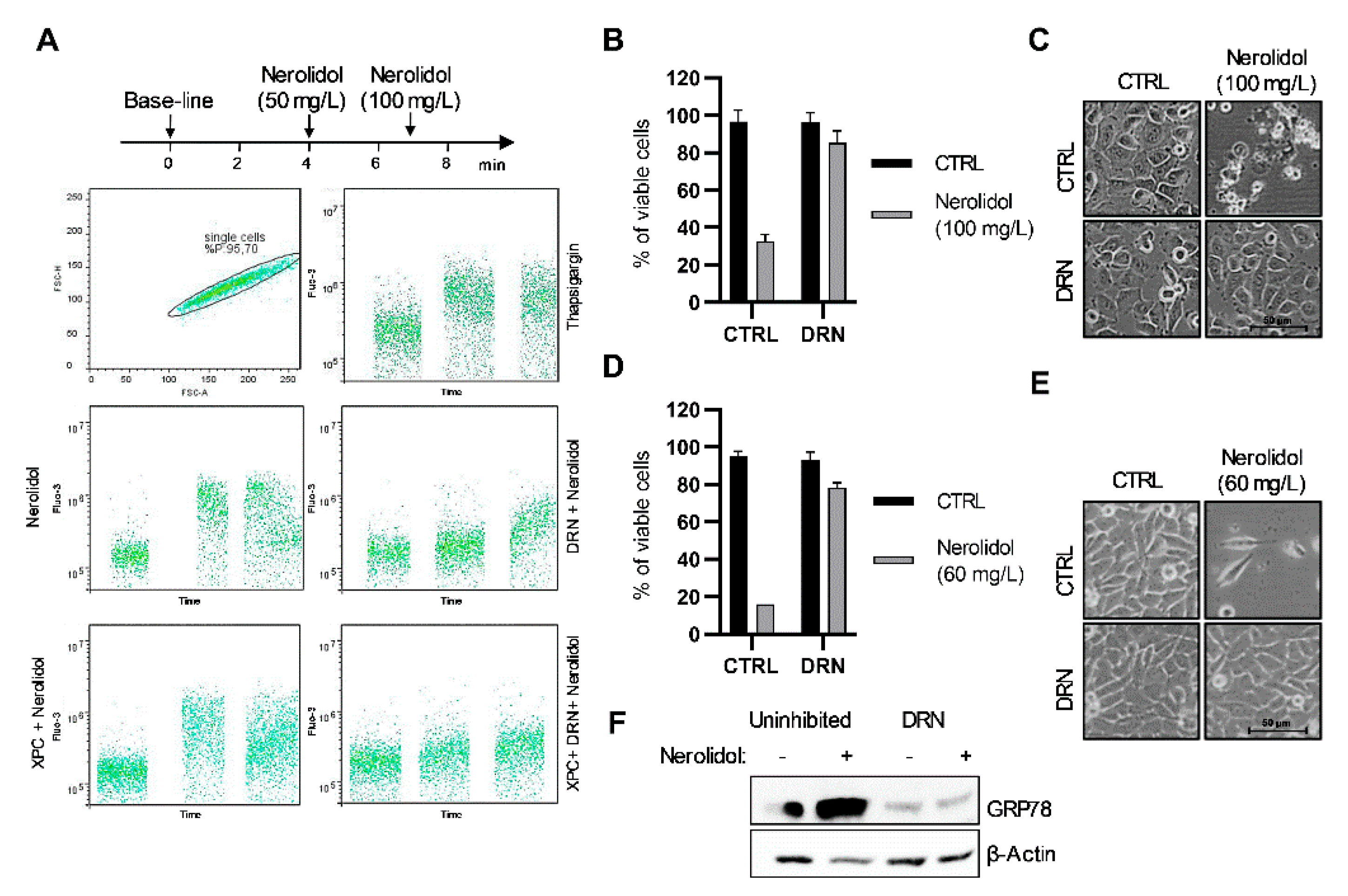 Cancers 15 00981 g003