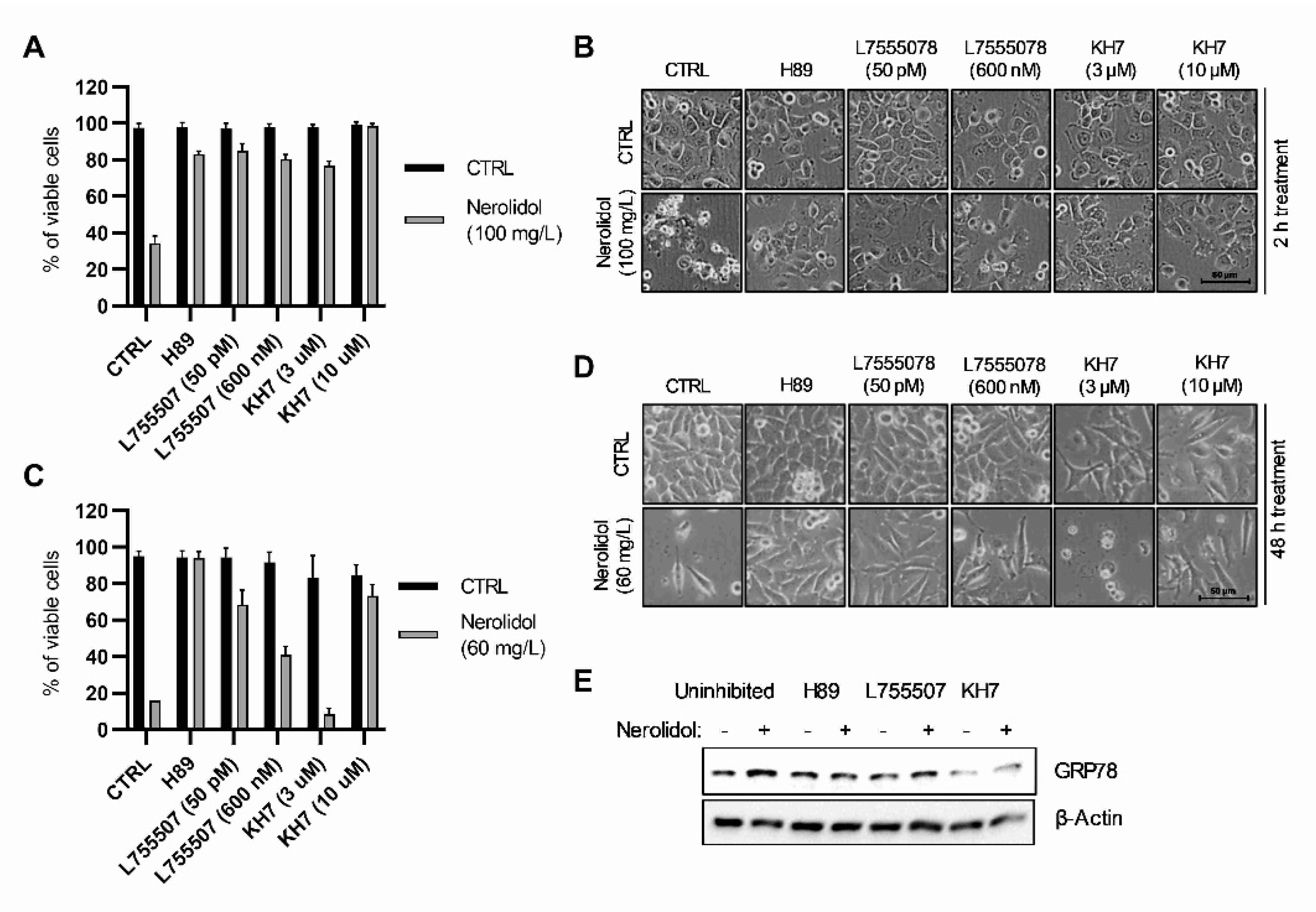 Cancers 15 00981 g004