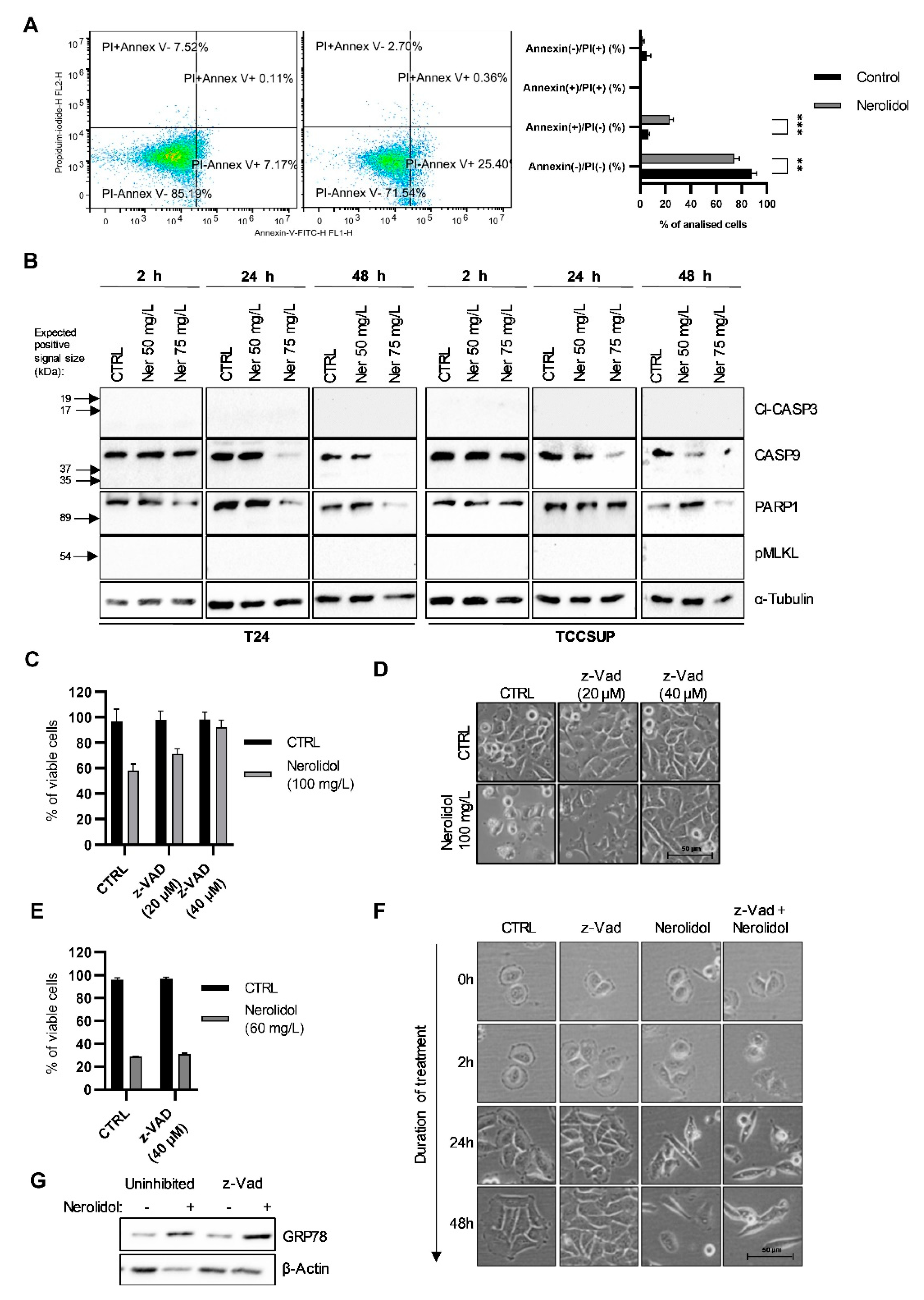 Cancers 15 00981 g007