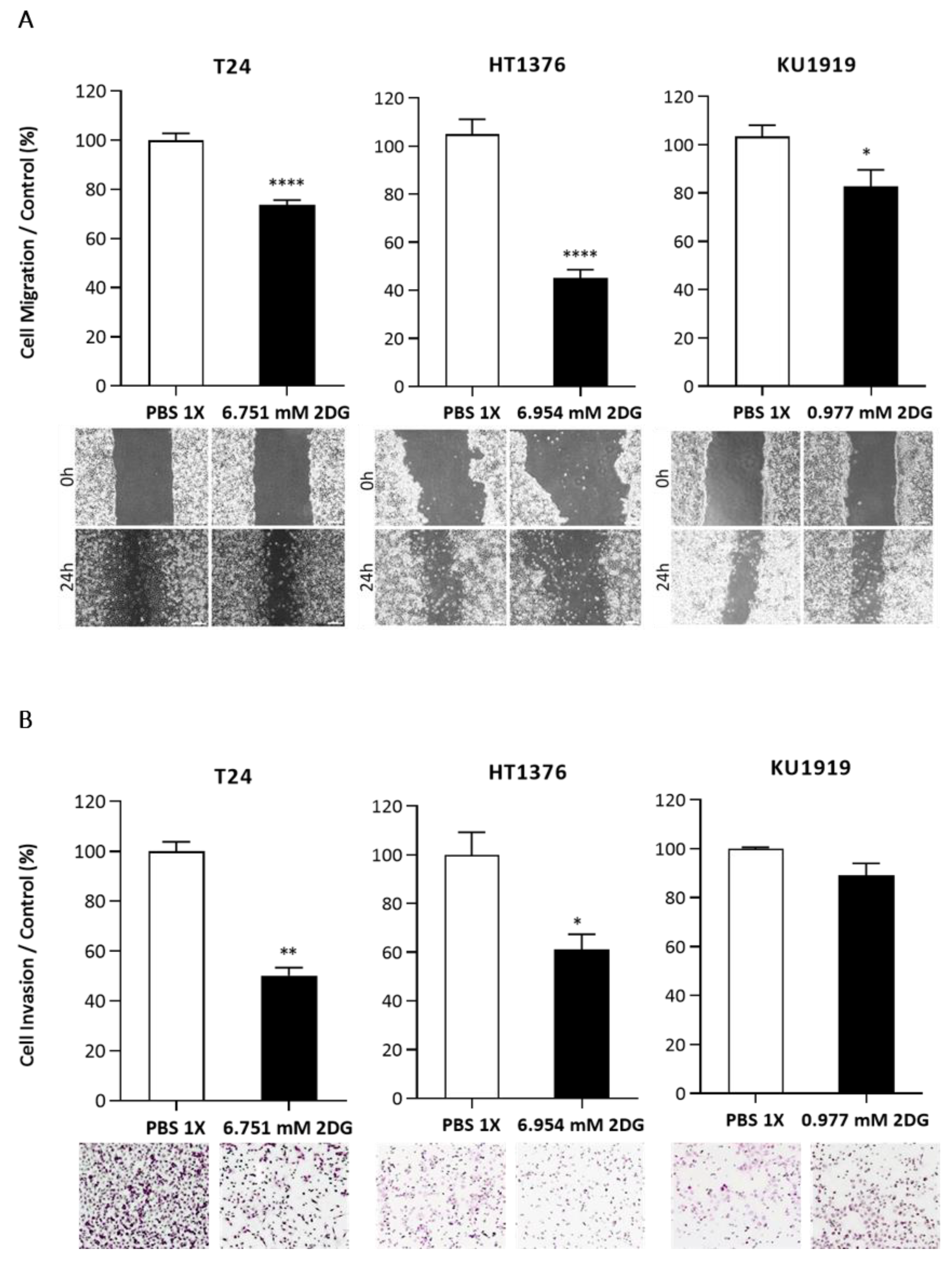 Cancers 15 00982 g007 Cancers 15 00982 g007