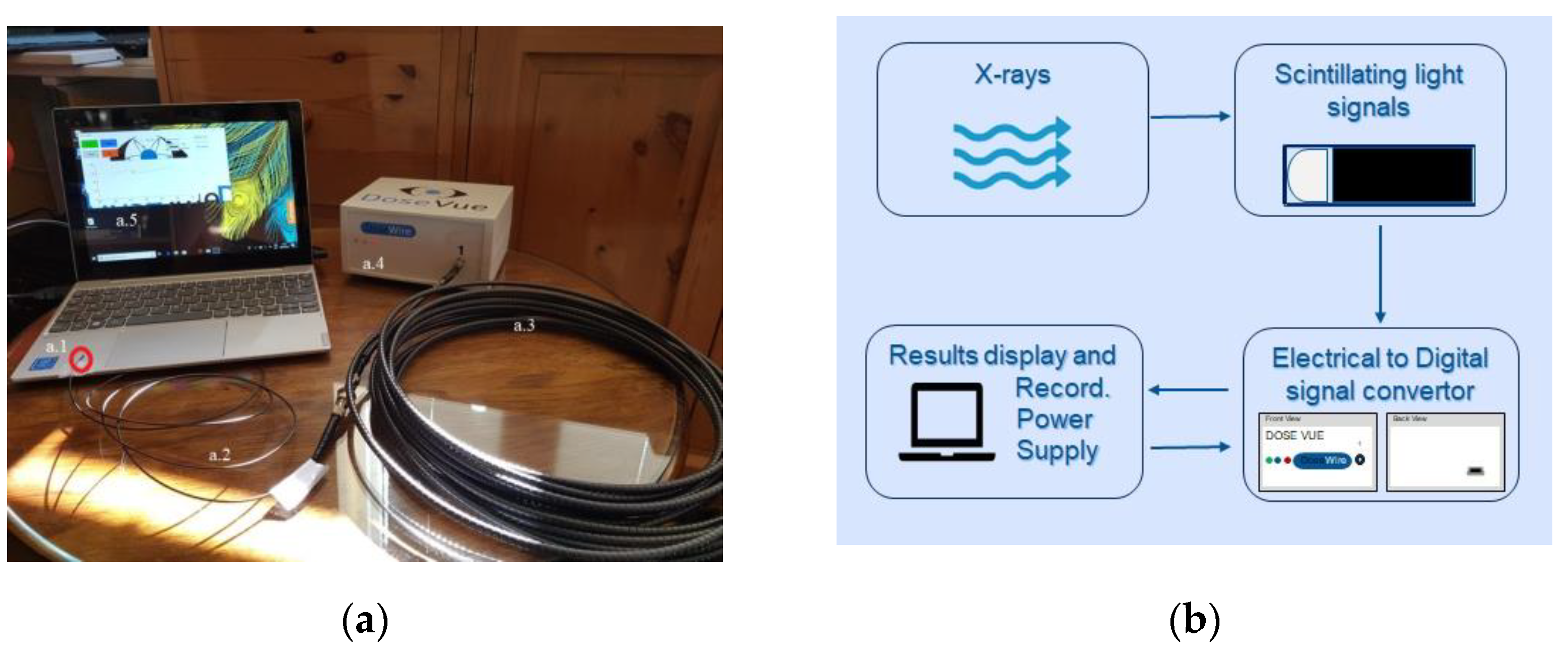 Cancers 15 00987 g001